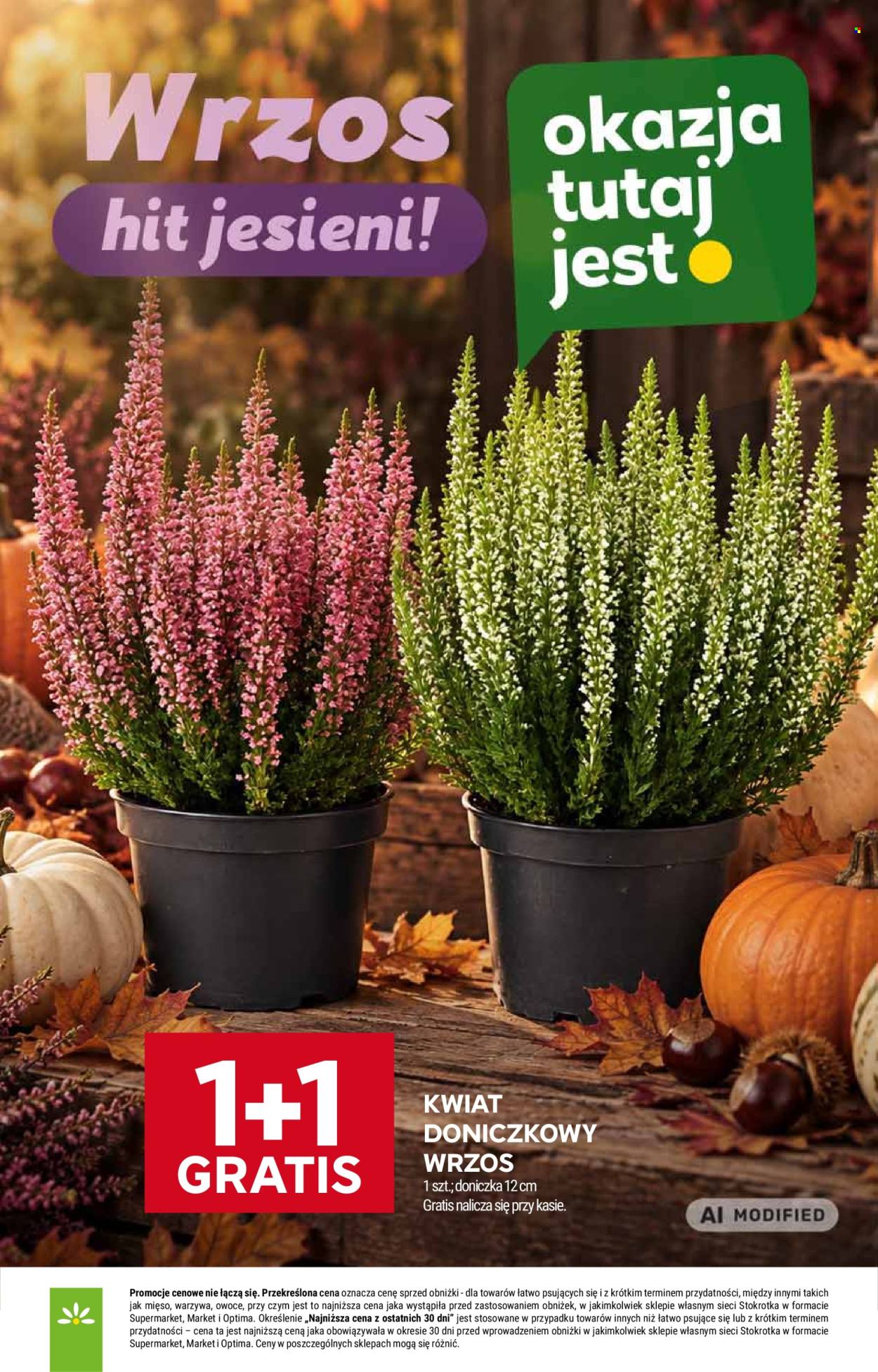 Gazetka Stokrotka Supermarket - 17.09.2026 - 23.09.2026. Strona 37