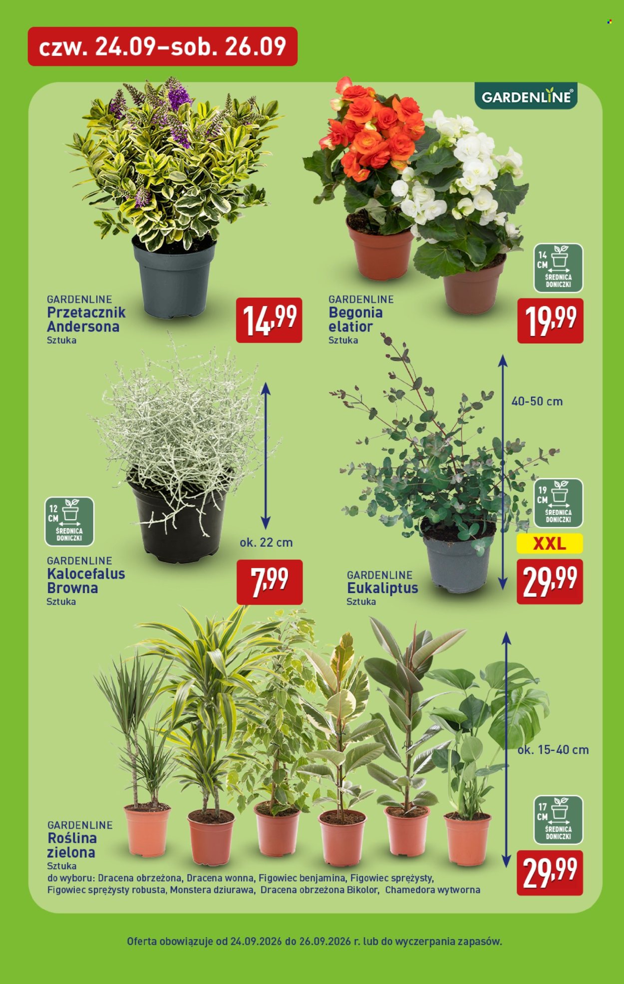 Gazetka ALDI - 21.09.2026 - 26.09.2026. Strona 39