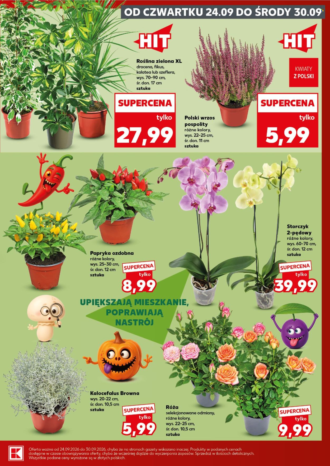 Gazetka Kaufland - 24.09.2026 - 30.09.2026. Strona 7