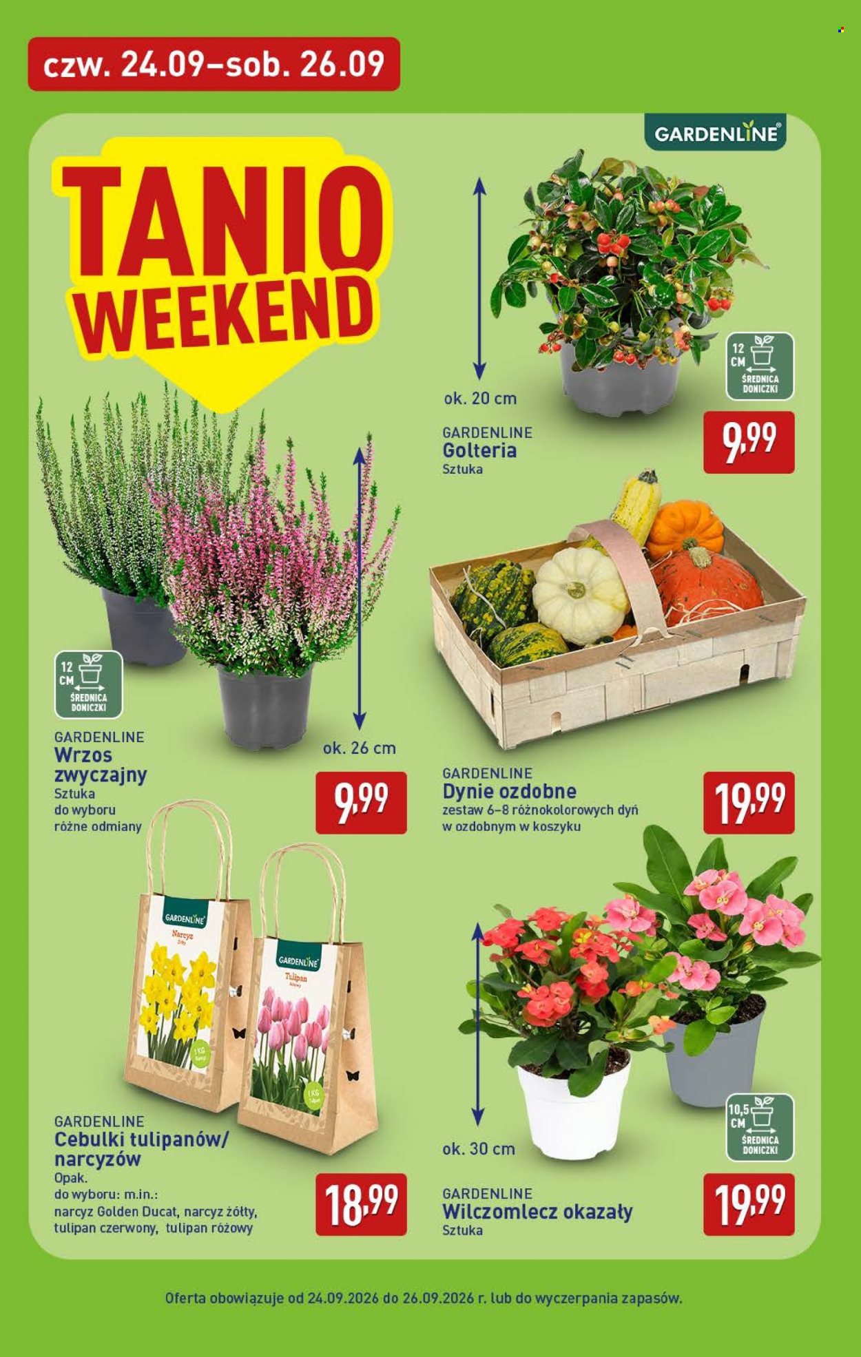 Gazetka ALDI - 24.09.2026 - 26.09.2026. Strona 6
