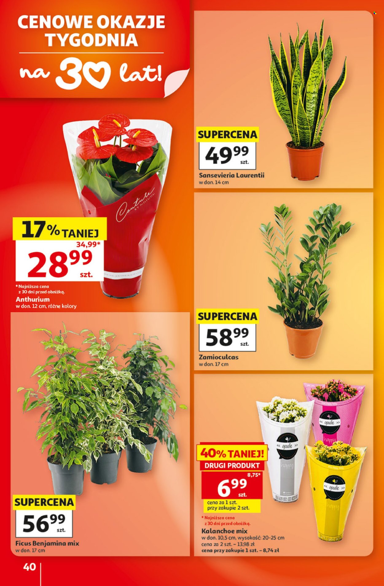 Gazetka Auchan - 1.10.2026 - 7.10.2026. Strona 40