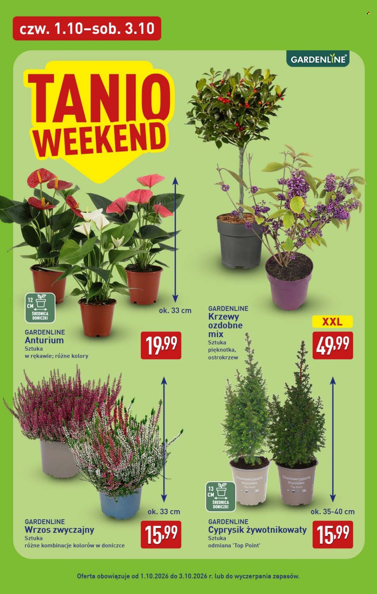 Gazetka ALDI - 1.10.2026 - 3.10.2026. Strona 6