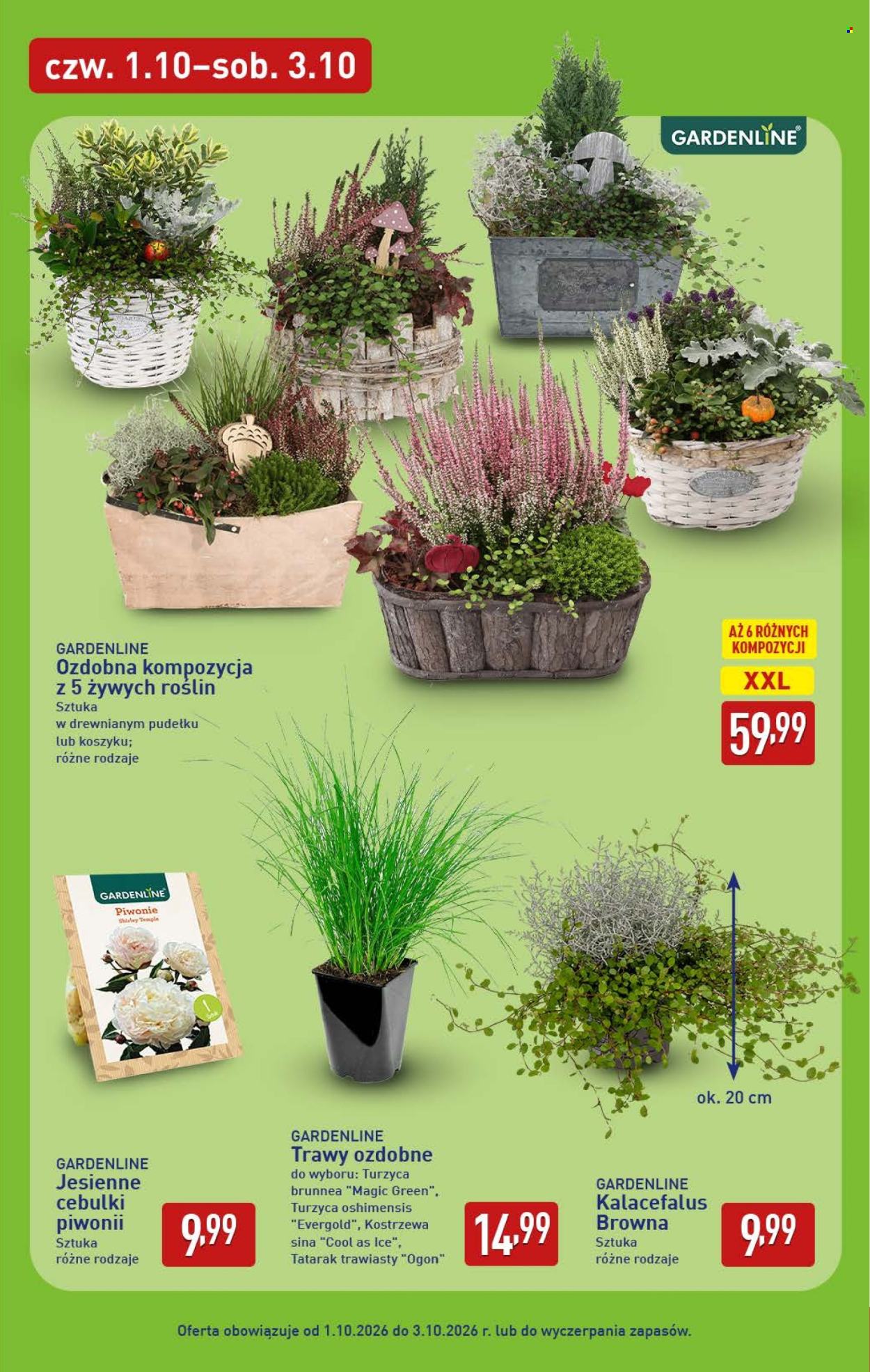 Gazetka ALDI - 1.10.2026 - 3.10.2026. Strona 7