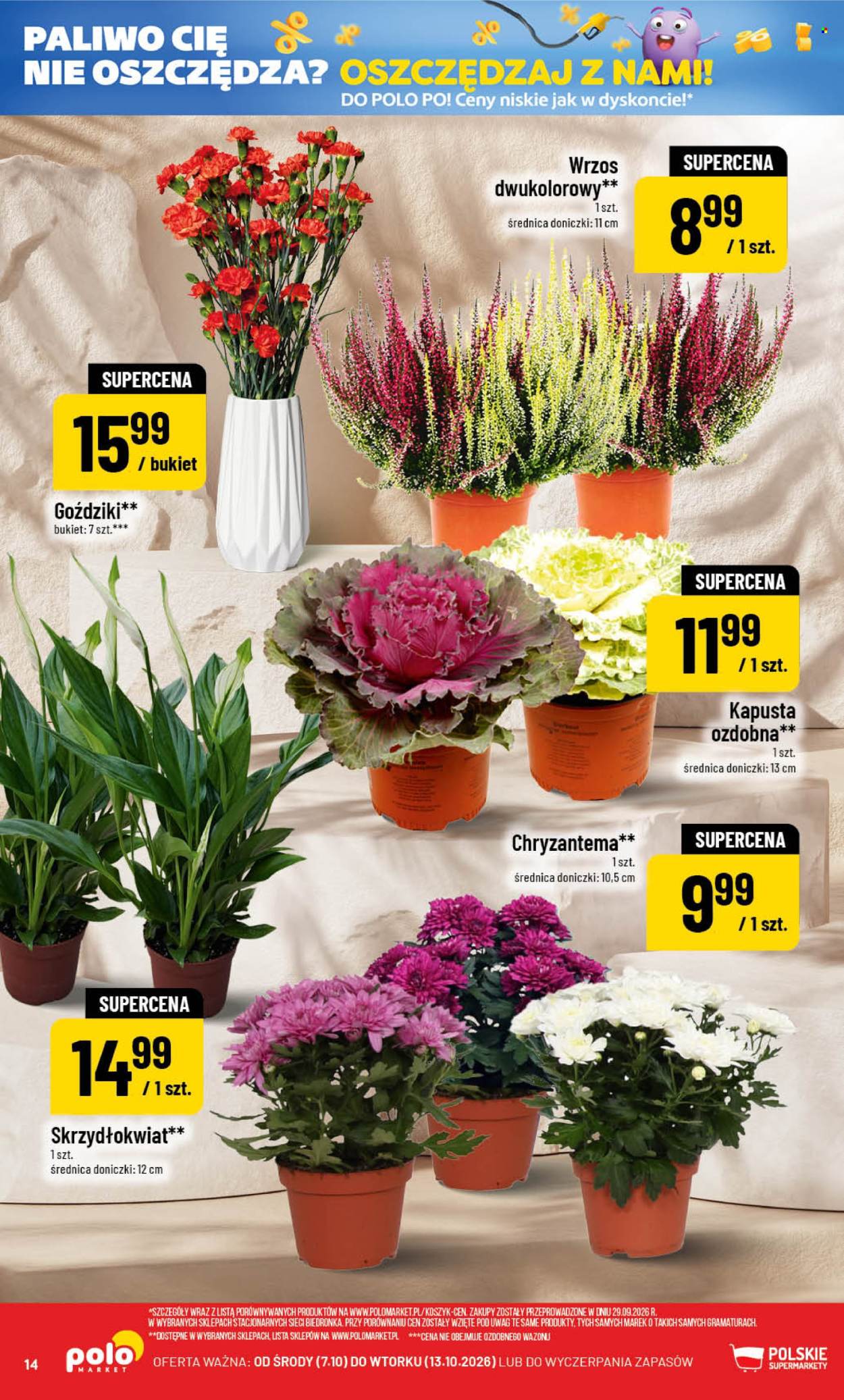 Gazetka Polomarket - 7.10.2026 - 13.10.2026. Strona 14