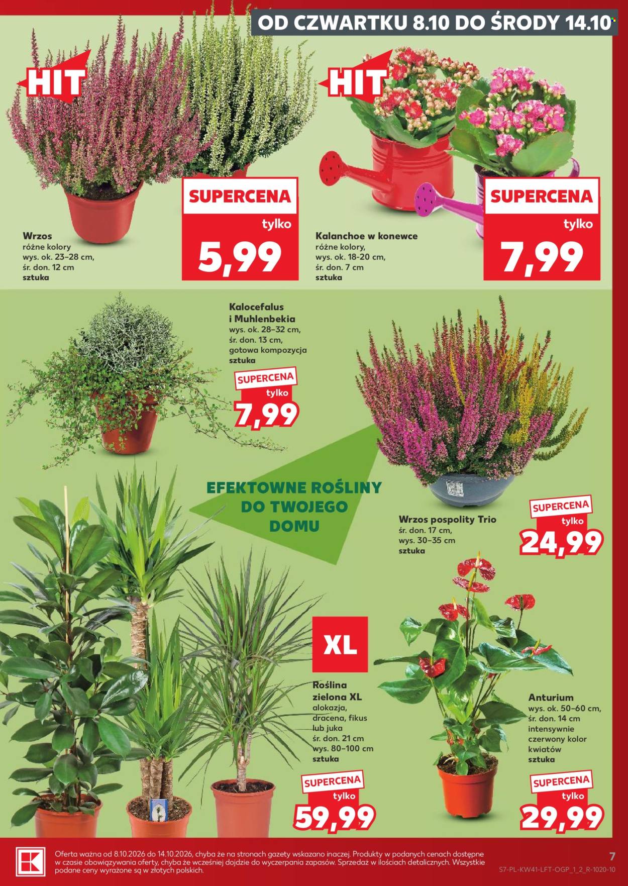 Gazetka Kaufland - 8.10.2026 - 14.10.2026. Strona 7