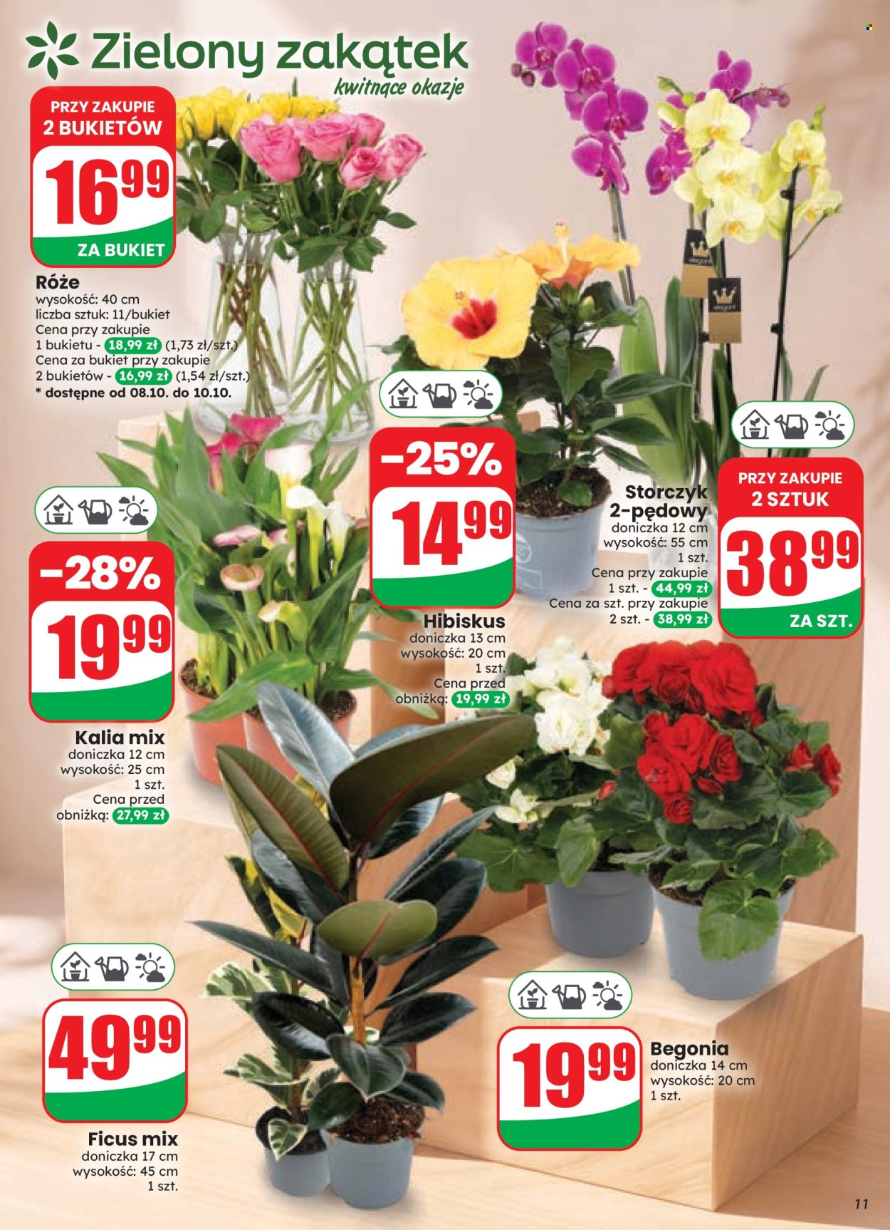 Gazetka Dino - 7.10.2026 - 13.10.2026. Strona 11