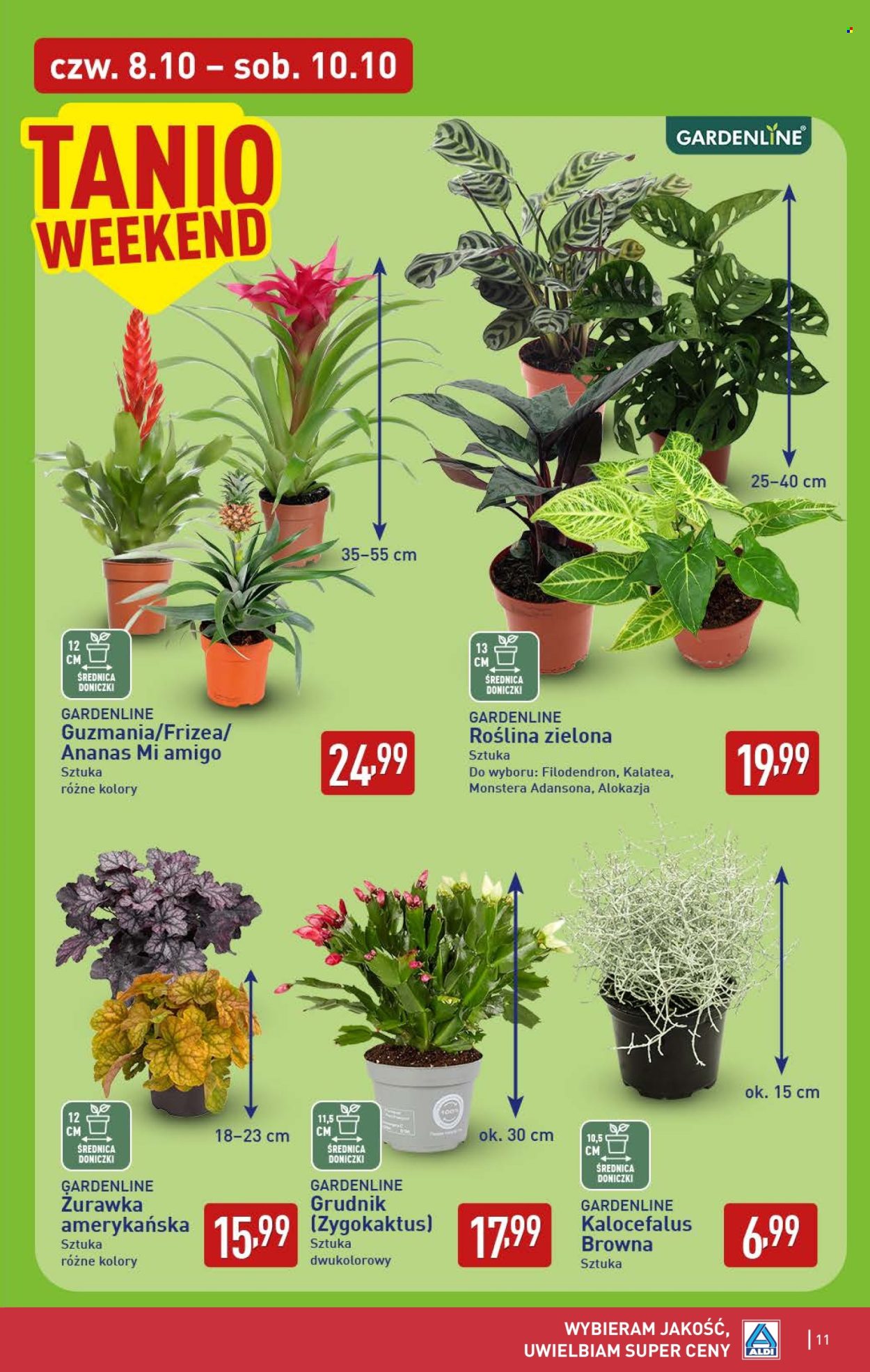 Gazetka ALDI - 8.10.2026 - 10.10.2026. Strona 11