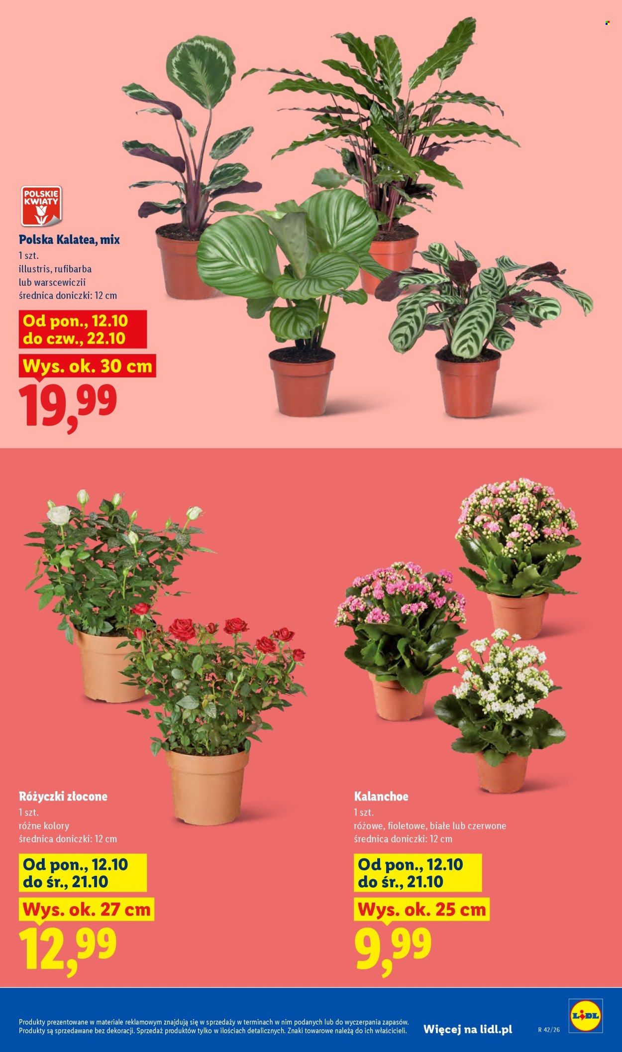Gazetka Lidl - 12.10.2026 - 17.10.2026. Strona 9