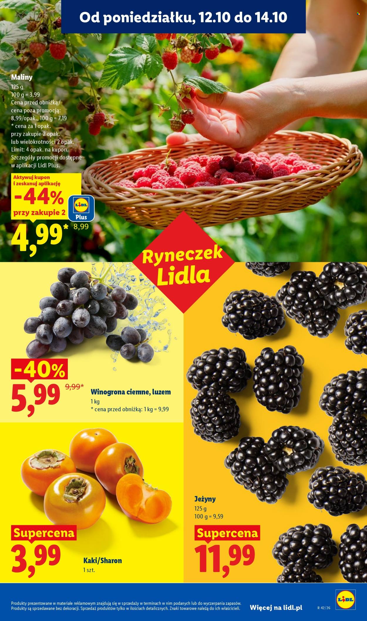Gazetka Lidl - 12.10.2026 - 17.10.2026. Strona 51