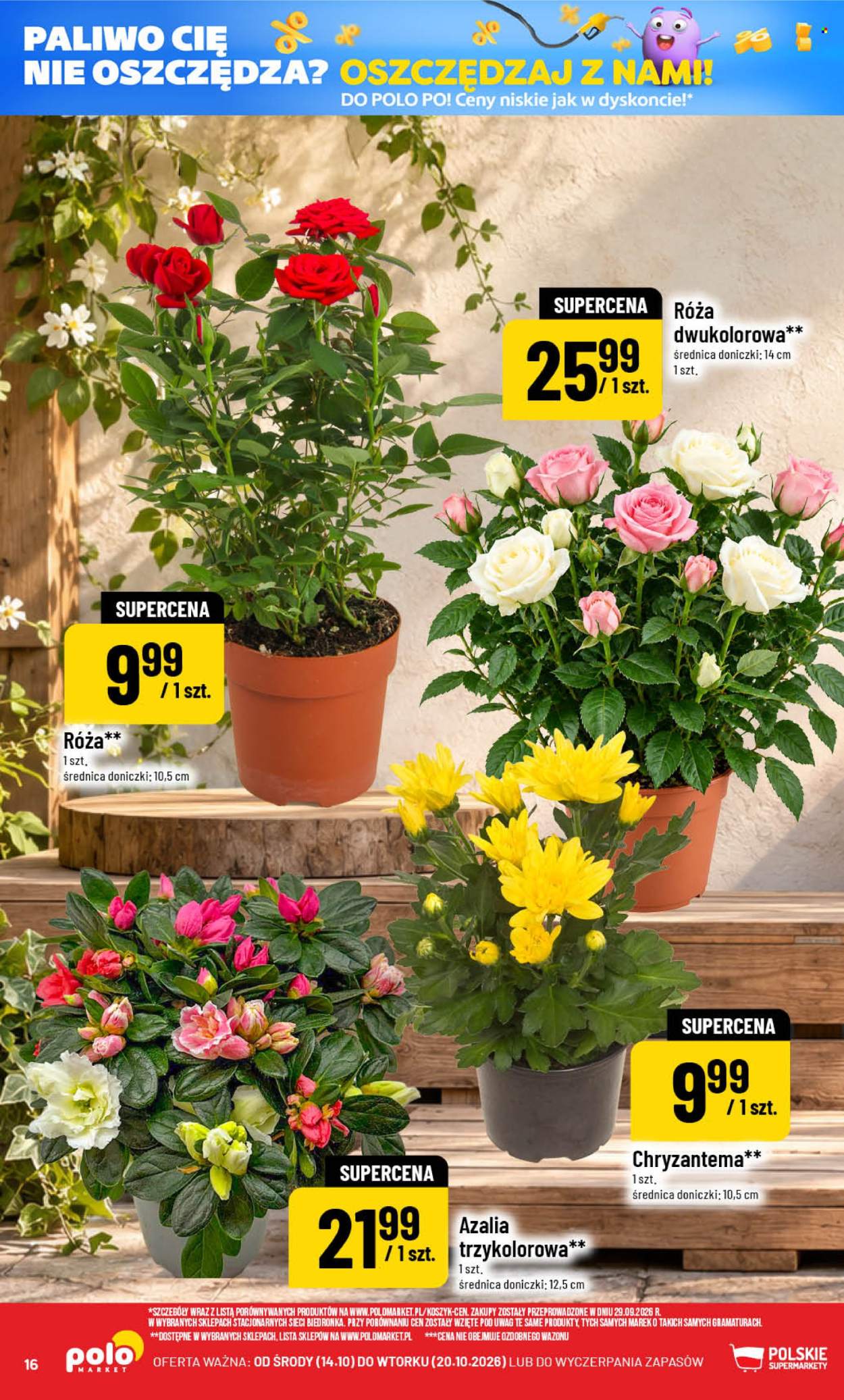 Gazetka Polomarket - 14.10.2026 - 20.10.2026. Strona 16