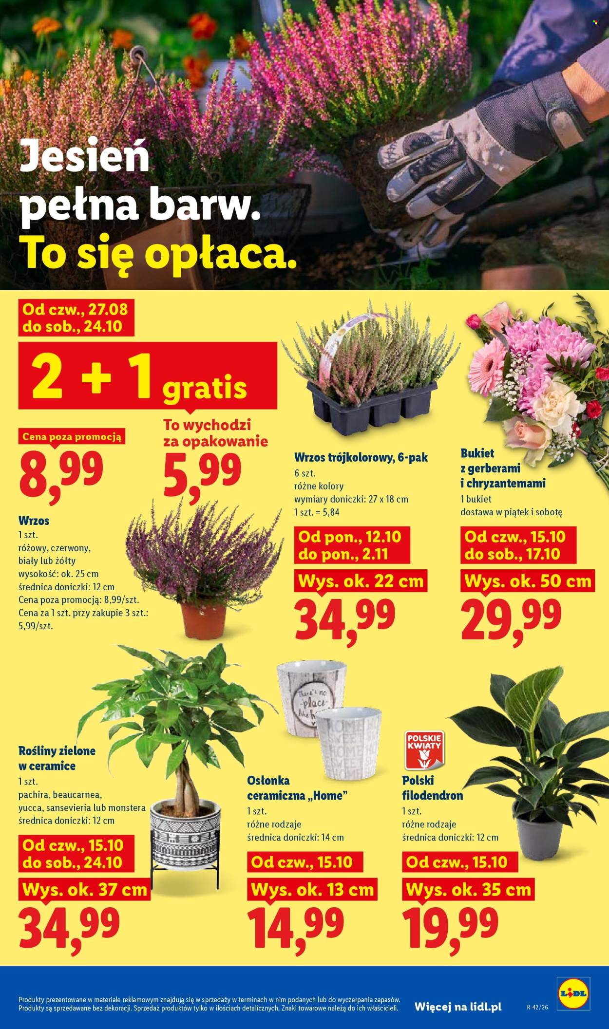 Gazetka Lidl - 15.10.2026 - 17.10.2026. Strona 107