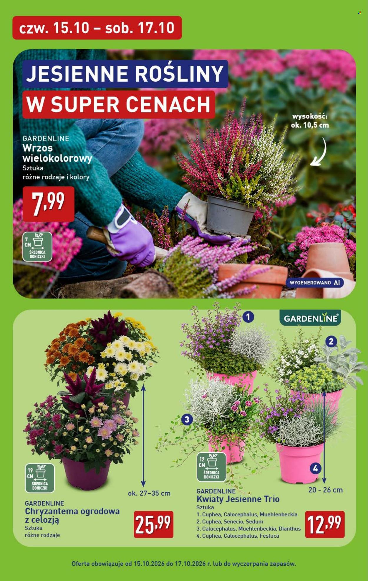 Gazetka ALDI - 15.10.2026 - 17.10.2026. Strona 6