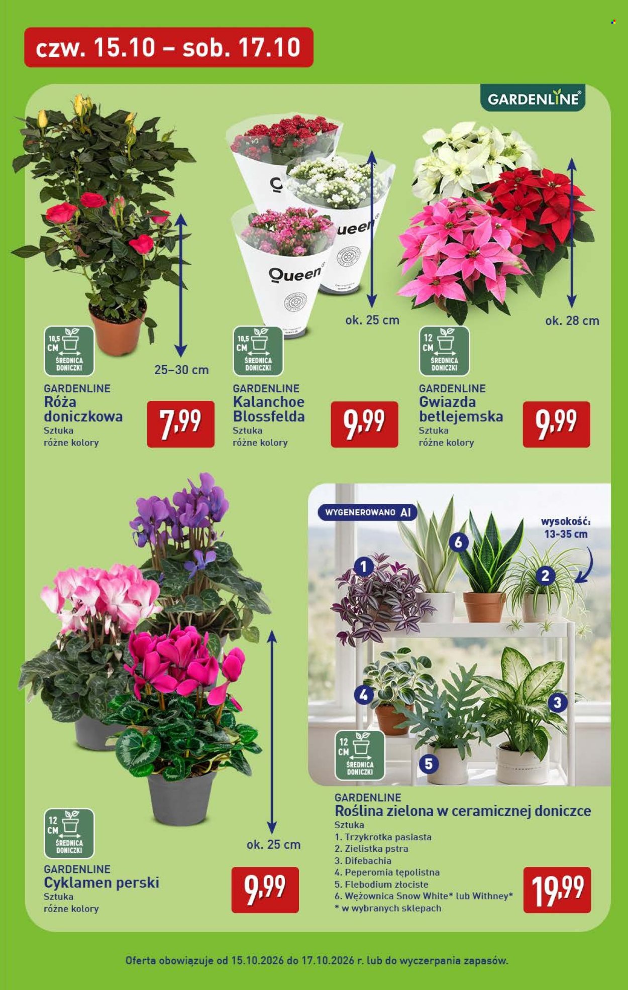 Gazetka ALDI - 15.10.2026 - 17.10.2026. Strona 7