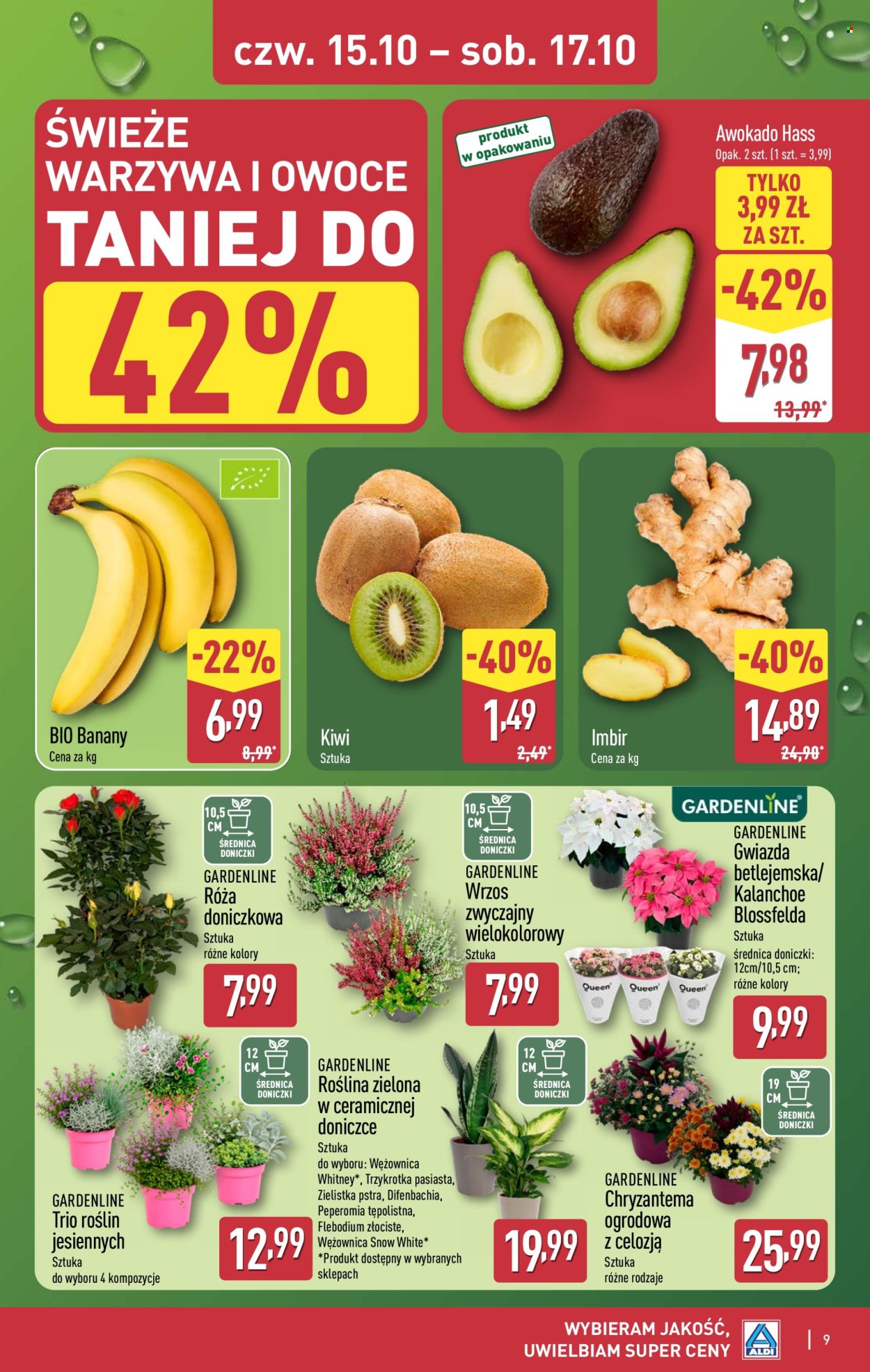 Gazetka ALDI - 15.10.2026 - 17.10.2026. Strona 9