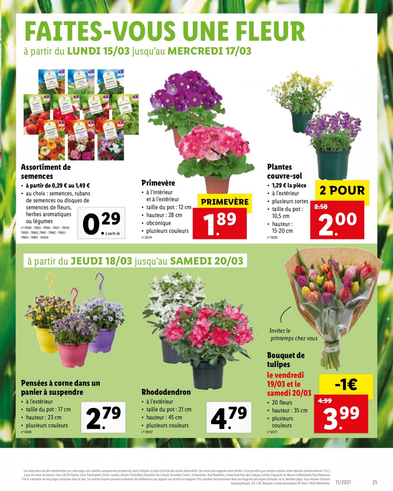 thumbnail - Catalogue Lidl - 15/03/2021 - 20/03/2021 - Produits soldés - rhododendron, primevère. Page 25.