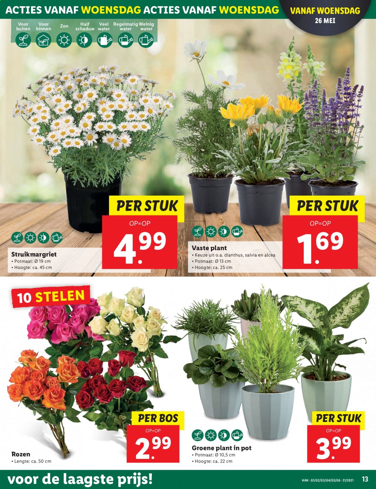 Lidl-aanbieding - 24-5-2021 - 30-5-2021. Pagina 13