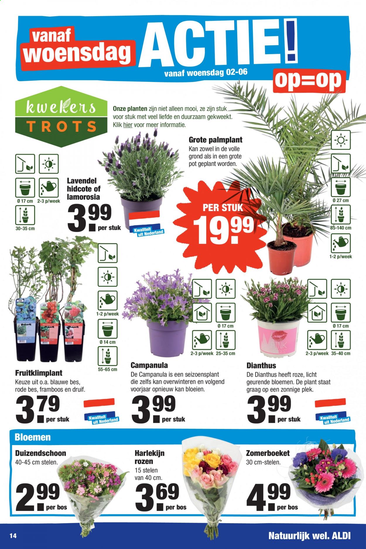 Aldi-aanbieding - 31-5-2021 - 6-6-2021. Pagina 14