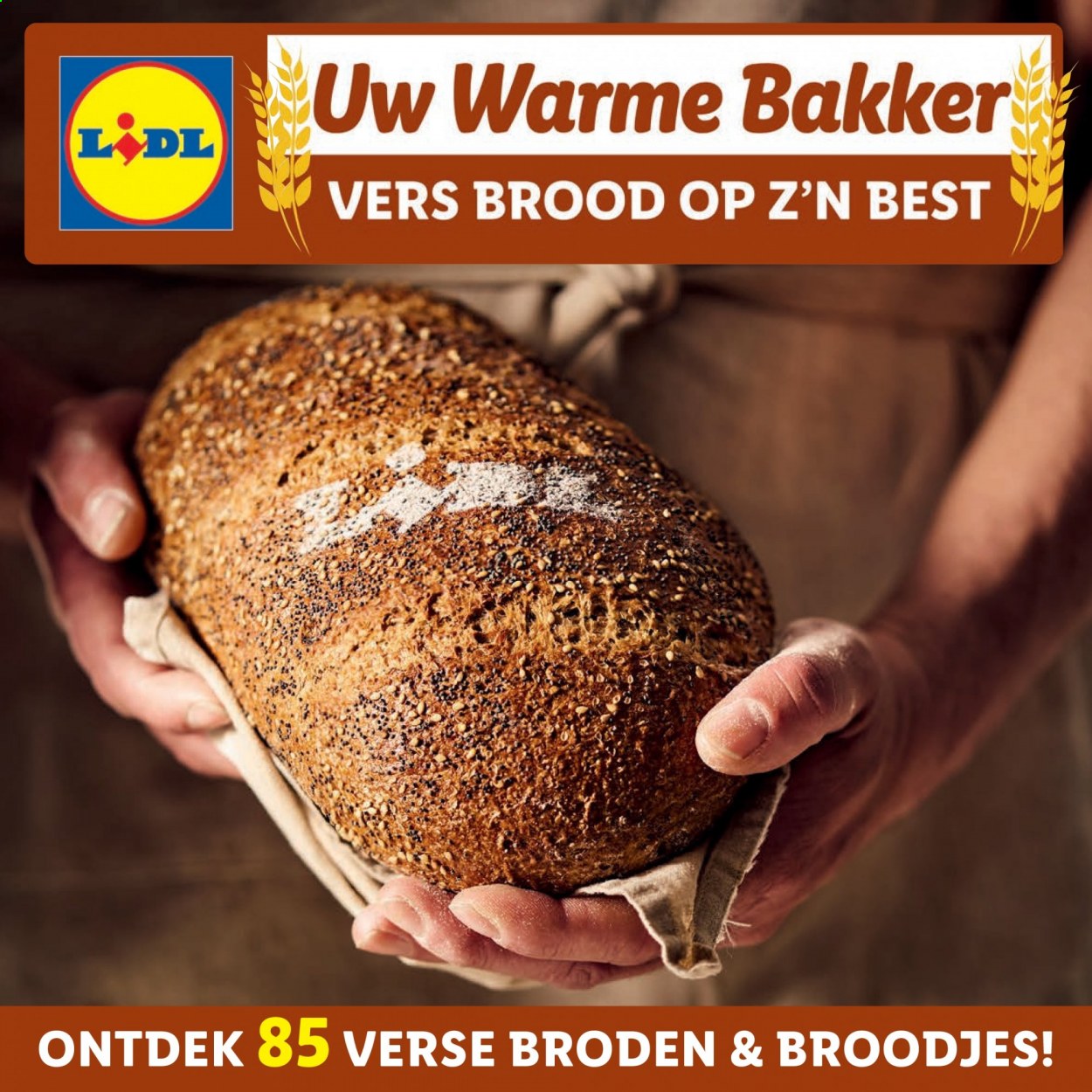 Lidl-aanbieding. Pagina 1