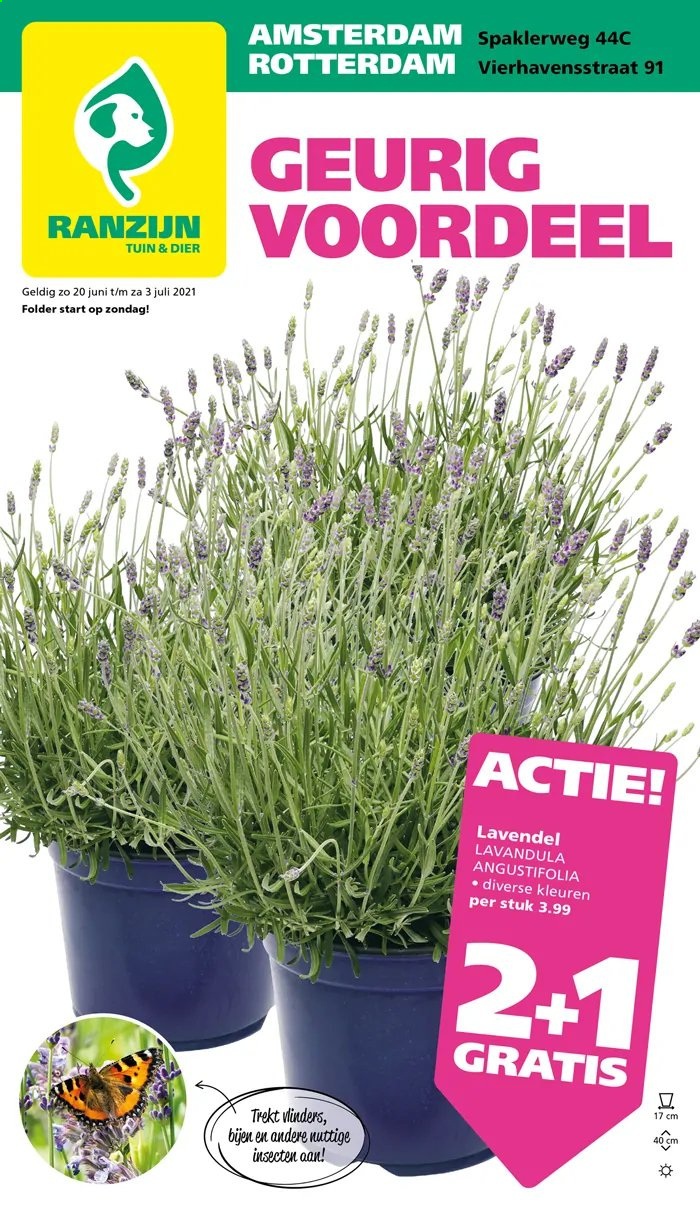 thumbnail - Ranzijn-aanbieding - 19-6-2021 - 3-7-2021 -  producten in de aanbieding - lavendel. Pagina 1.