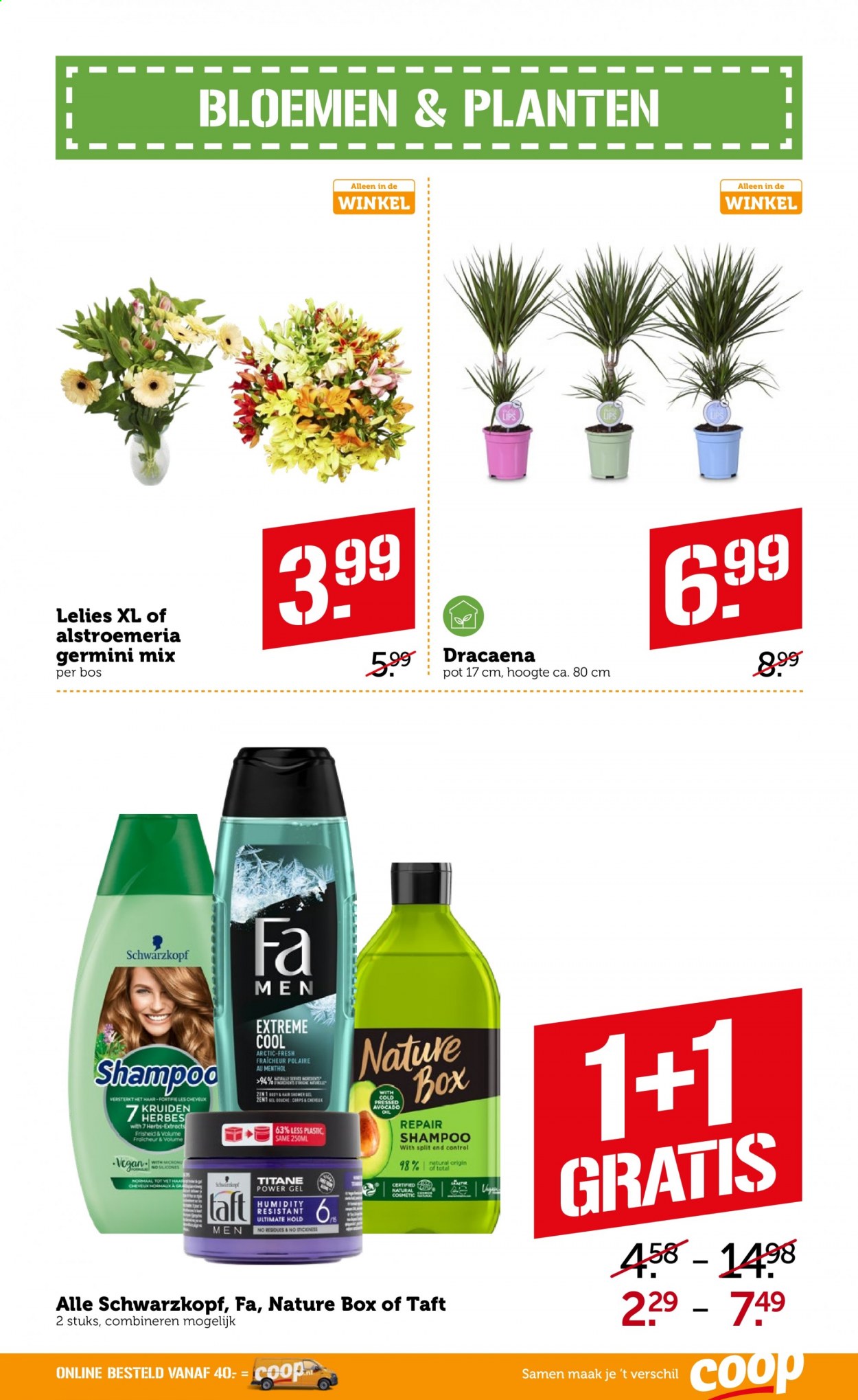 Coop-aanbieding - 5-7-2021 - 11-7-2021. Pagina 26