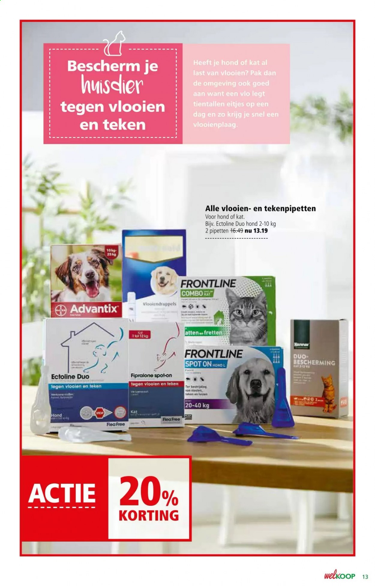 Welkoop-aanbieding - 5-7-2021 - 18-7-2021. Pagina 13