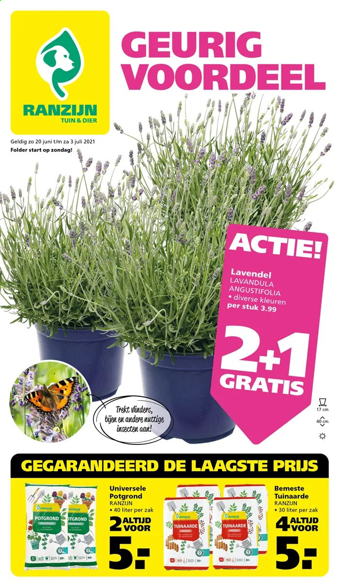 thumbnail - Ranzijn-aanbieding - 4-7-2021 - 17-7-2021 -  producten in de aanbieding - lavendel, potgrond. Pagina 1.