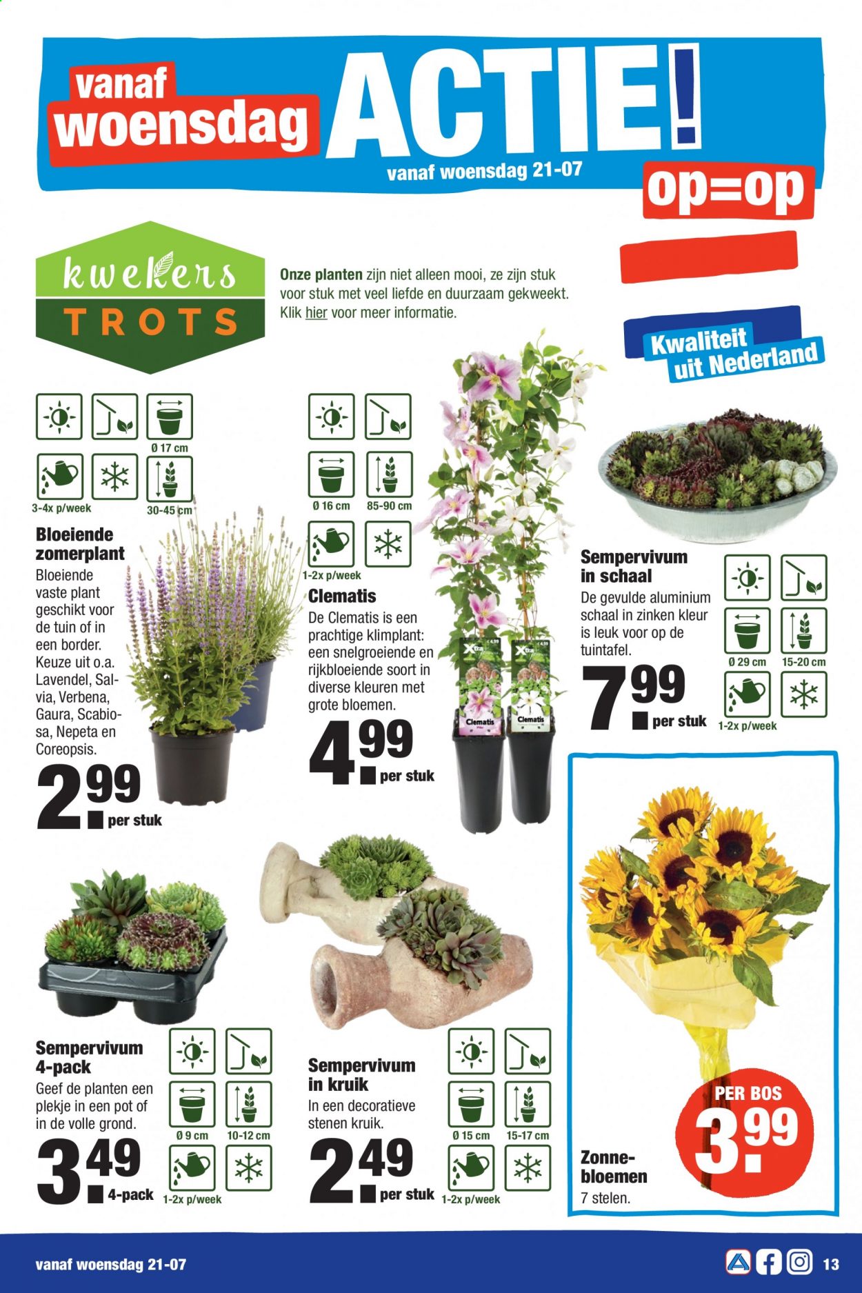 Aldi-aanbieding - 19-7-2021 - 25-7-2021. Pagina 13