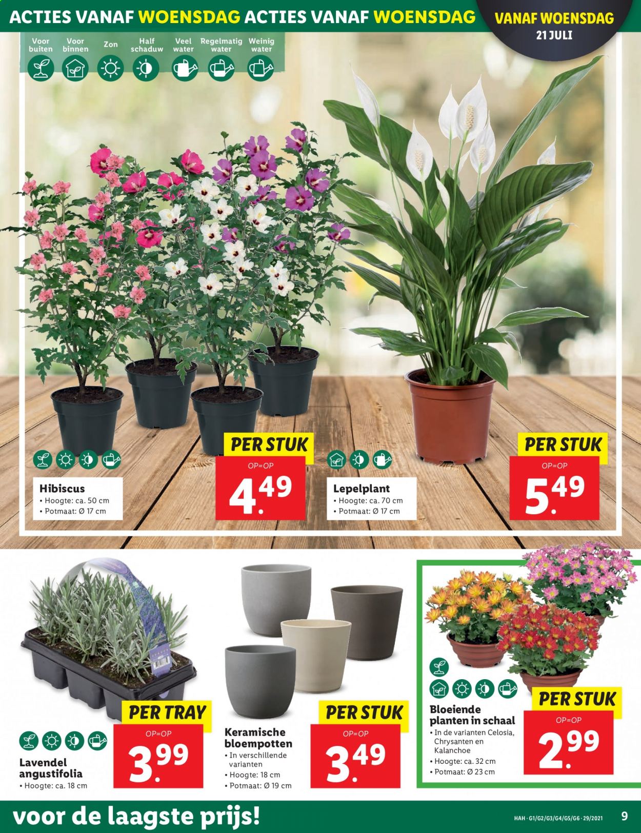 Lidl-aanbieding - 19-7-2021 - 25-7-2021. Pagina 9