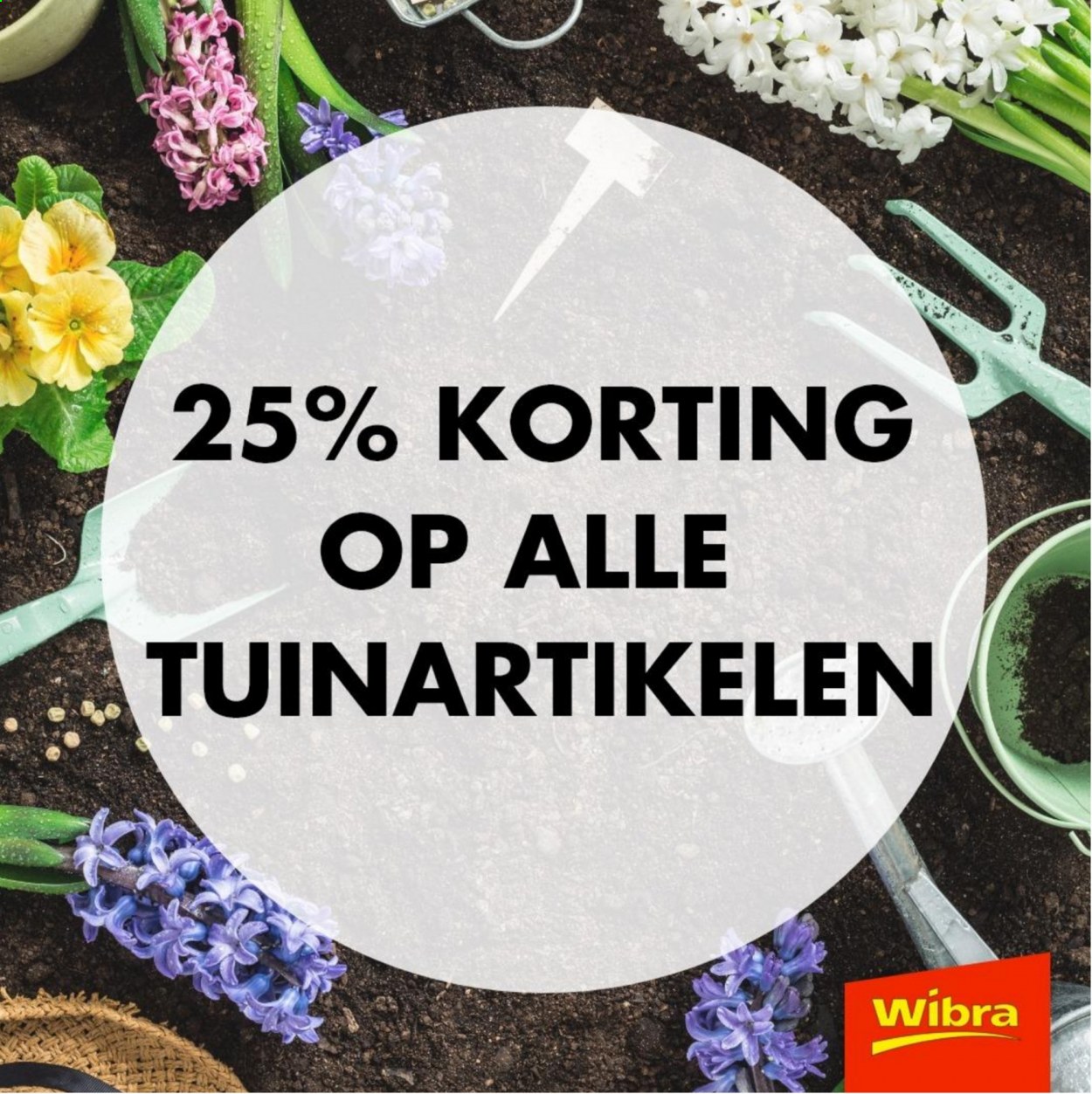 Wibra-aanbieding. Pagina 1