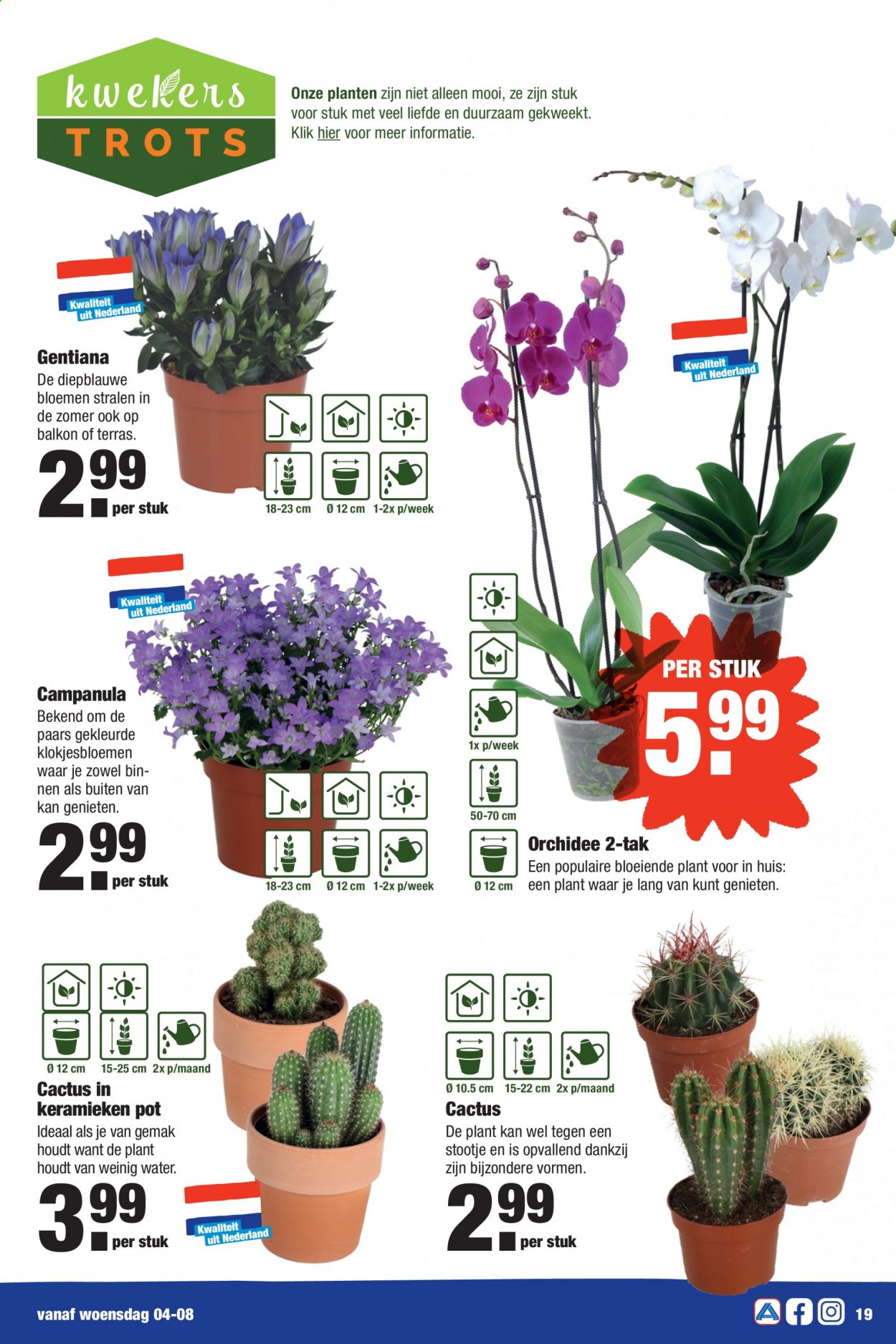 Aldi-aanbieding - 2-8-2021 - 8-8-2021. Pagina 19