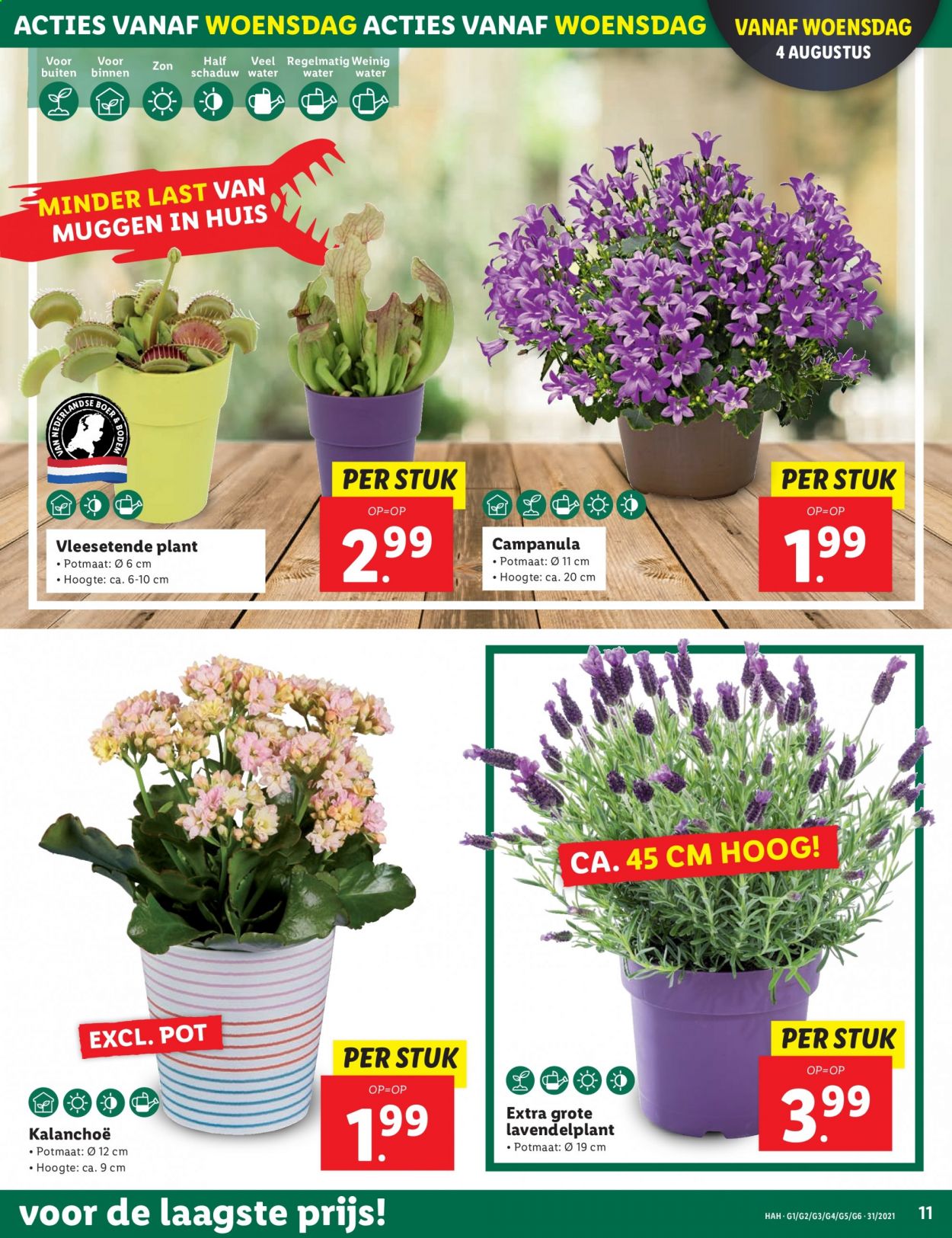 Lidl-aanbieding - 2-8-2021 - 8-8-2021. Pagina 11