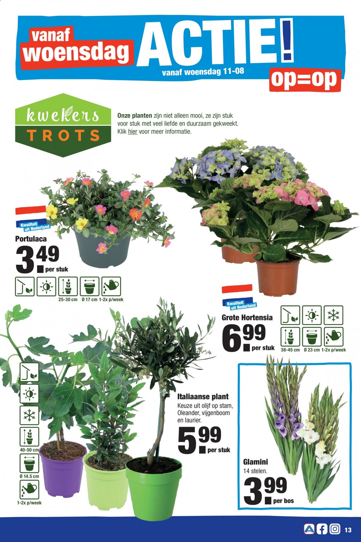 Aldi-aanbieding - 9-8-2021 - 15-8-2021. Pagina 13