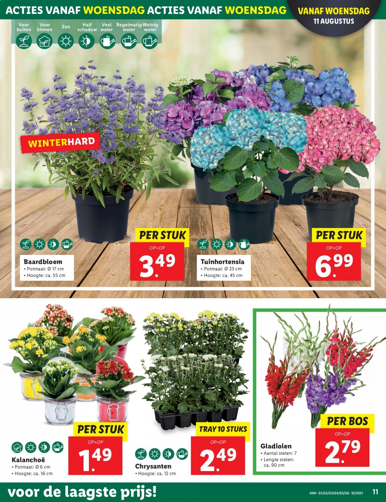 Lidl-aanbieding - 9-8-2021 - 15-8-2021. Pagina 11