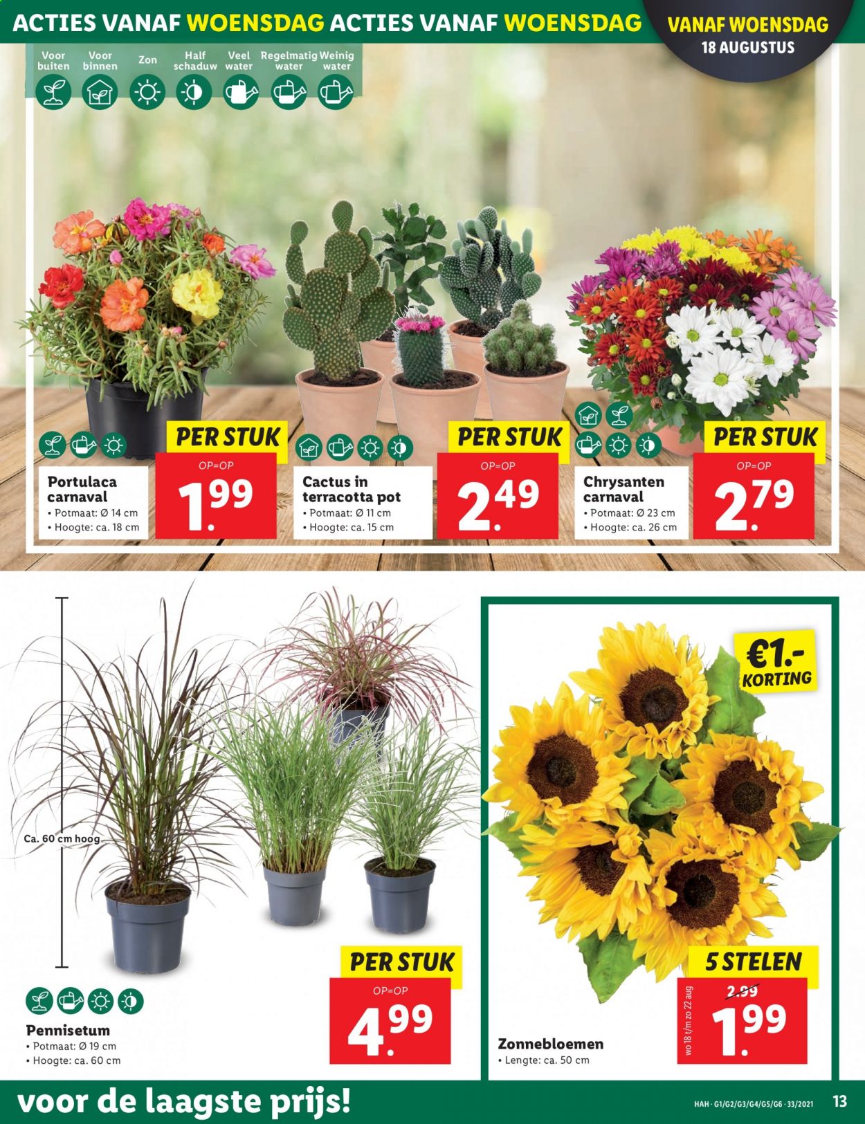 Lidl-aanbieding - 16-8-2021 - 22-8-2021. Pagina 13