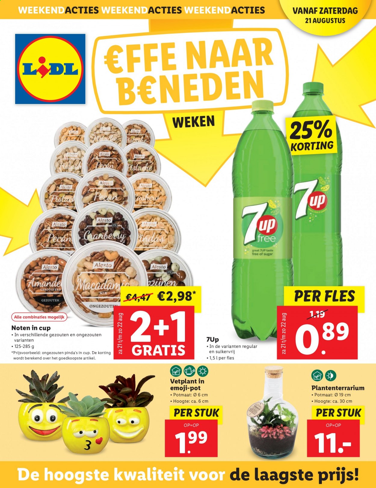 Lidl-aanbieding - 16-8-2021 - 22-8-2021. Pagina 40