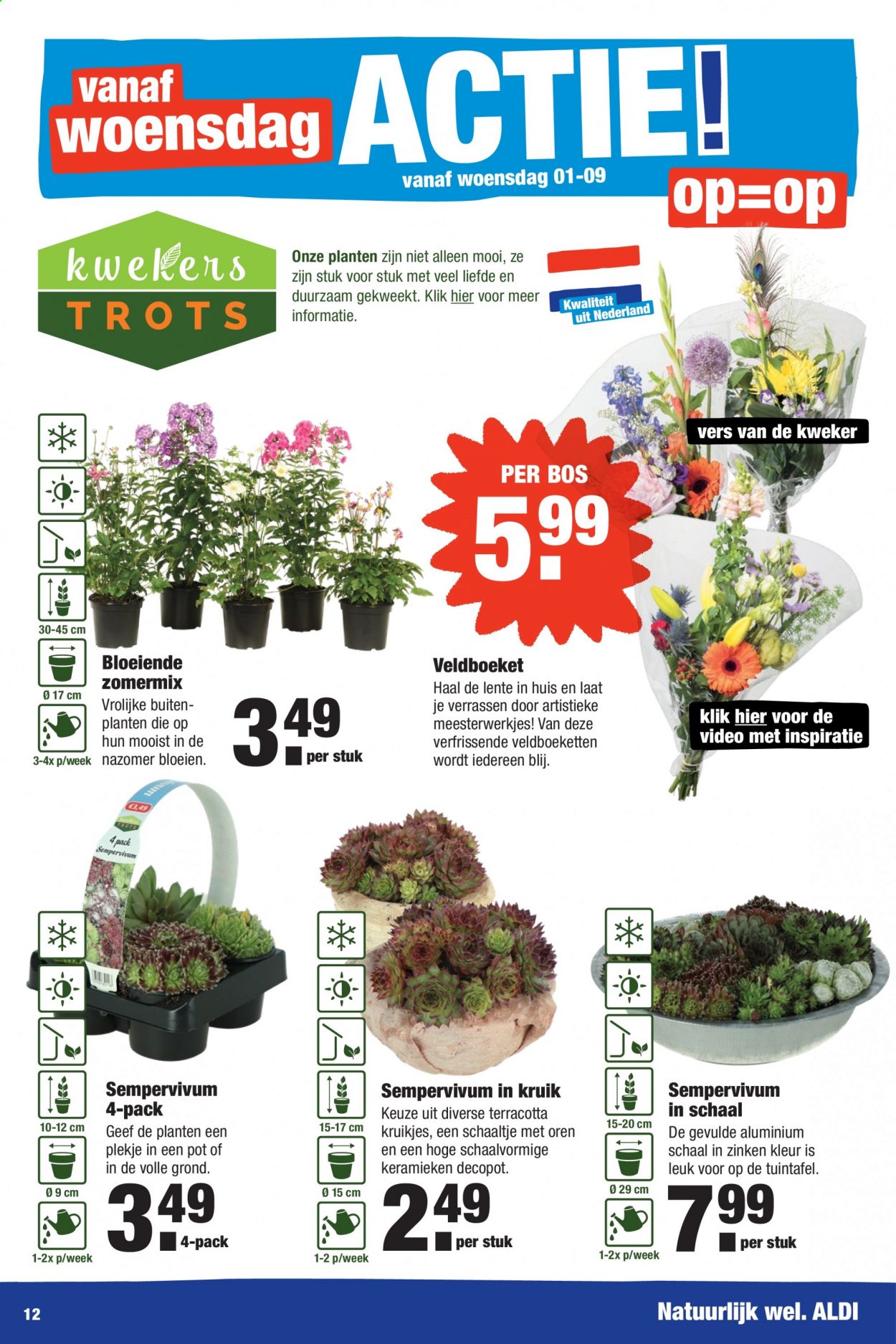 Aldi-aanbieding - 30-8-2021 - 5-9-2021. Pagina 12