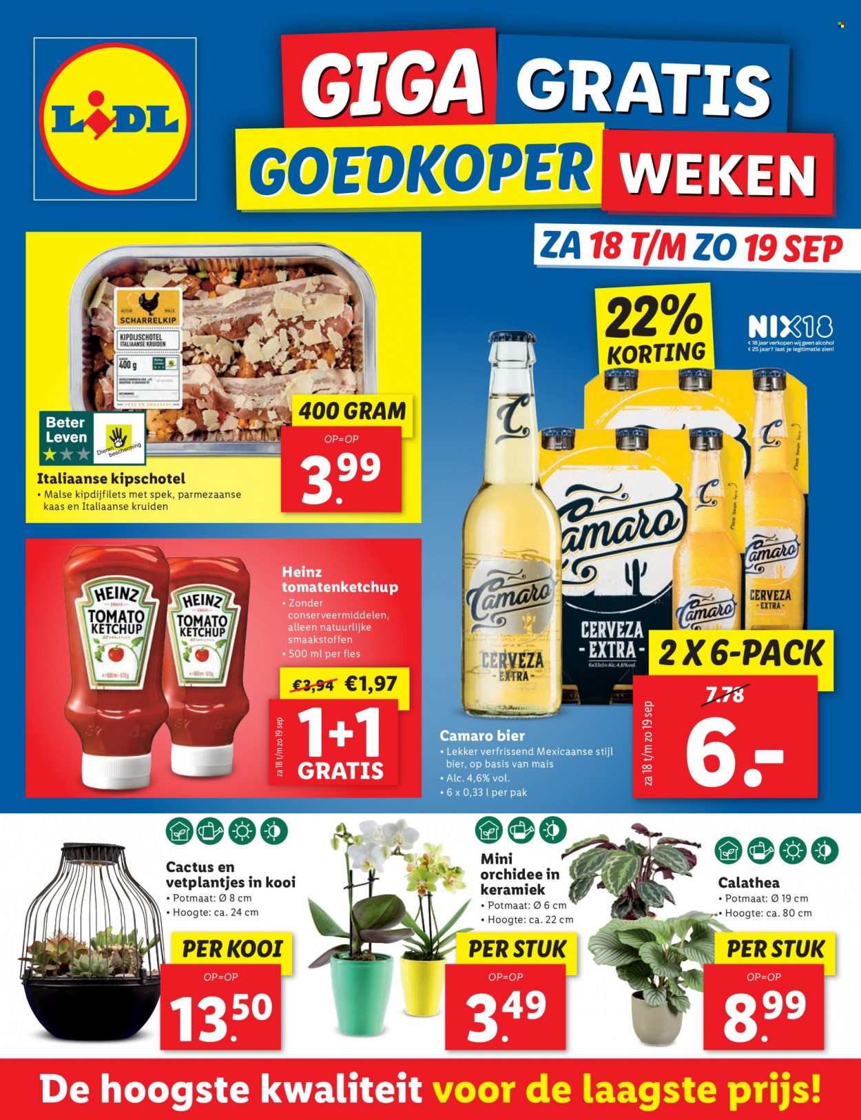 Lidl-aanbieding. Pagina 40