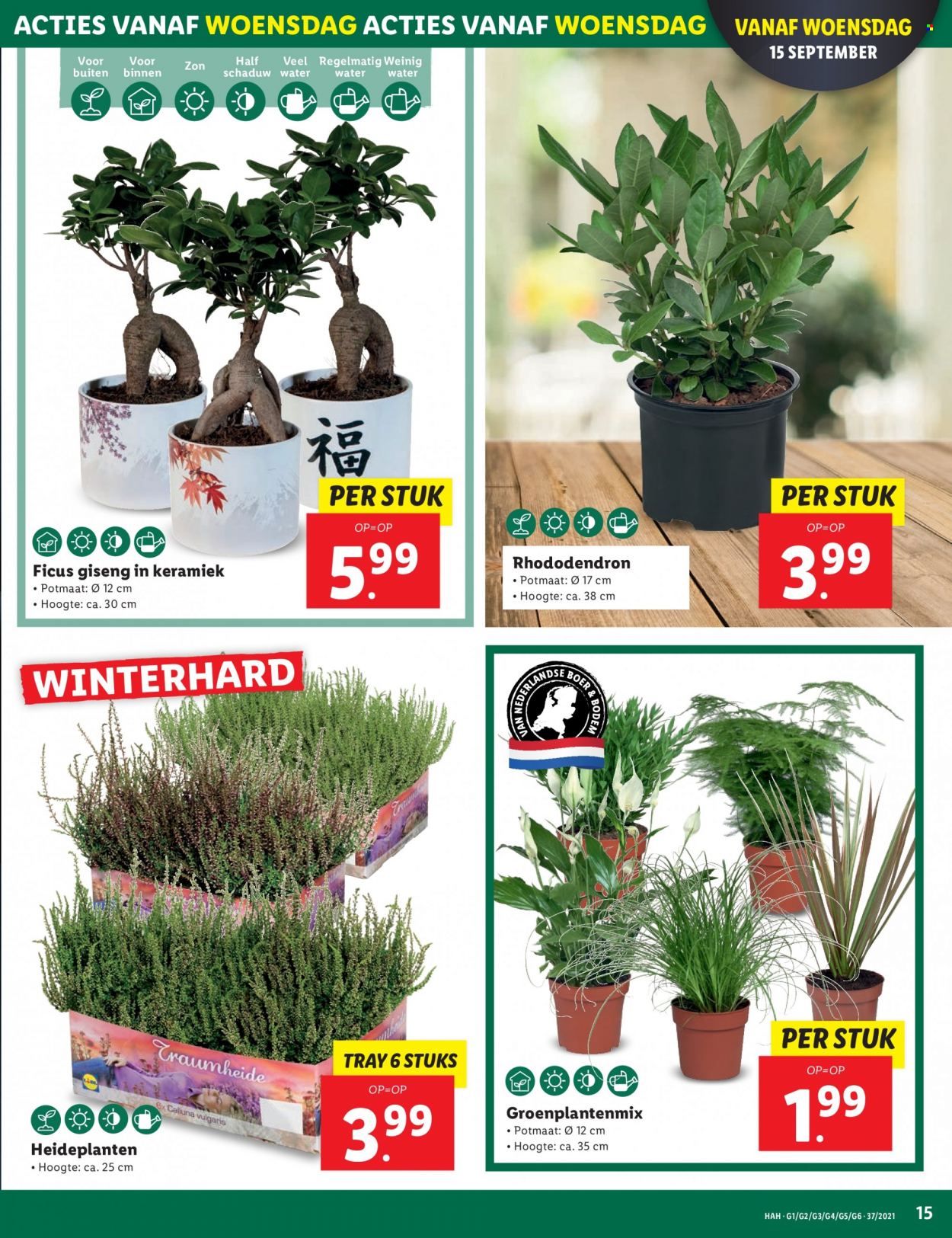 Lidl-aanbieding - 13-9-2021 - 19-9-2021. Pagina 15