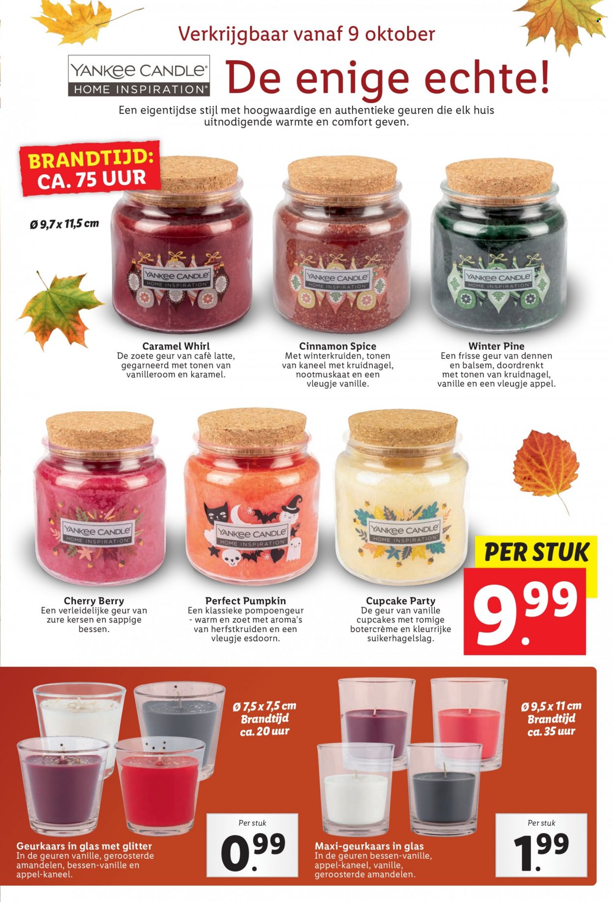 Lidl-aanbieding. Pagina 53