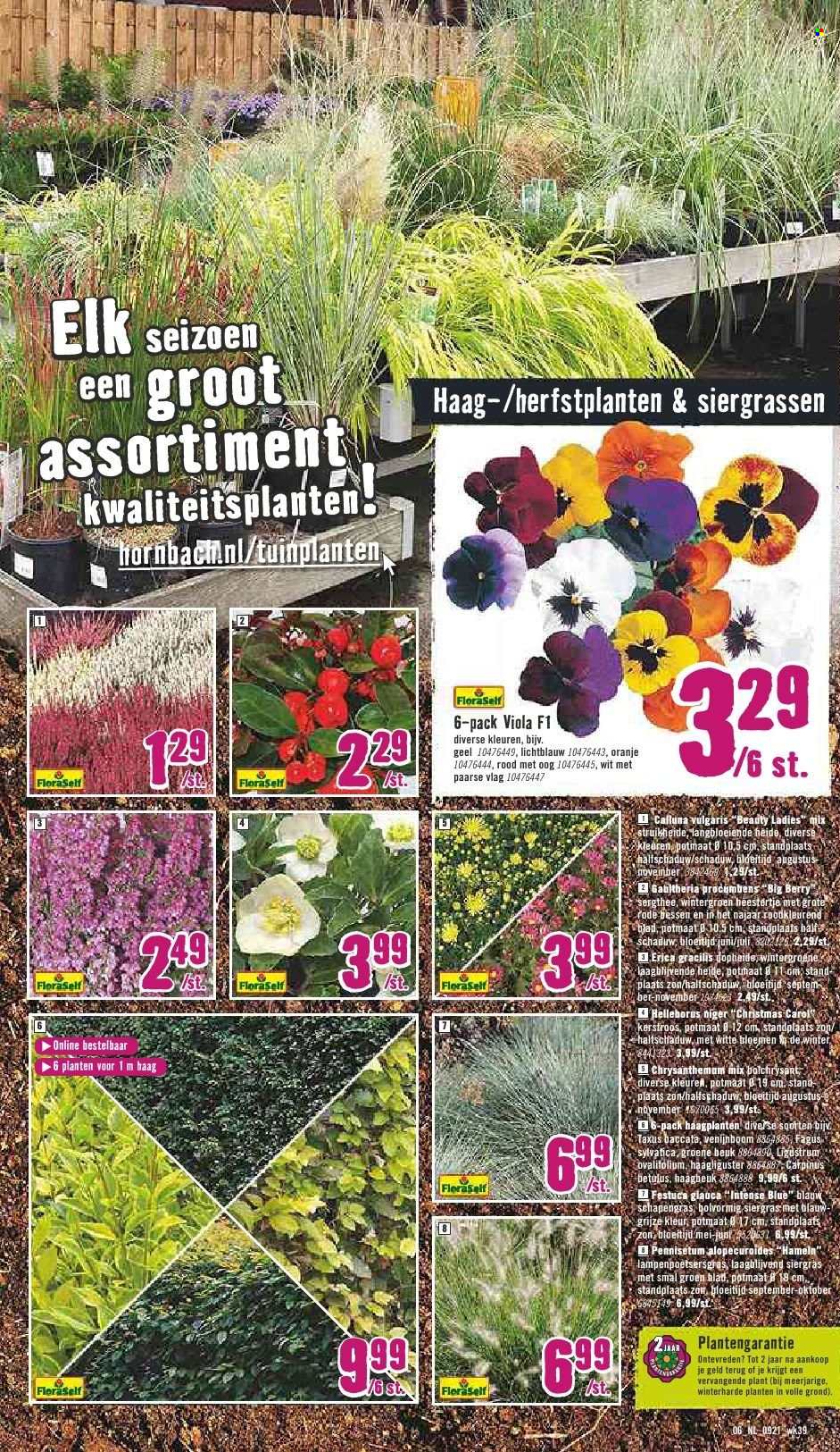 Hornbach-aanbieding - 27-9-2021 - 24-10-2021. Pagina 5