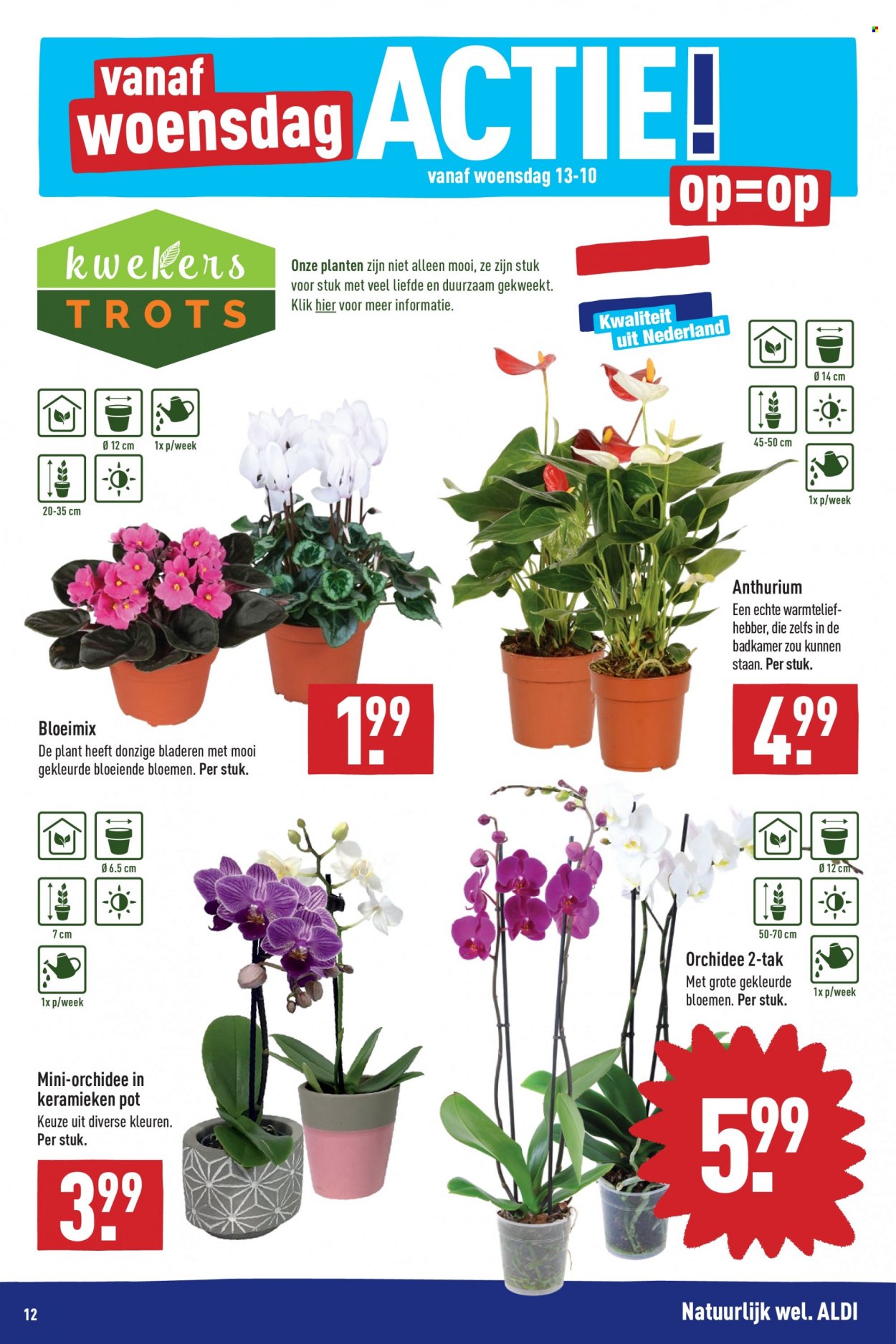 Aldi-aanbieding - 11-10-2021 - 17-10-2021. Pagina 12