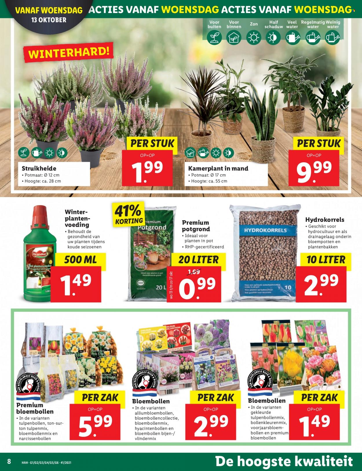 Lidl-aanbieding - 11-10-2021 - 17-10-2021. Pagina 8
