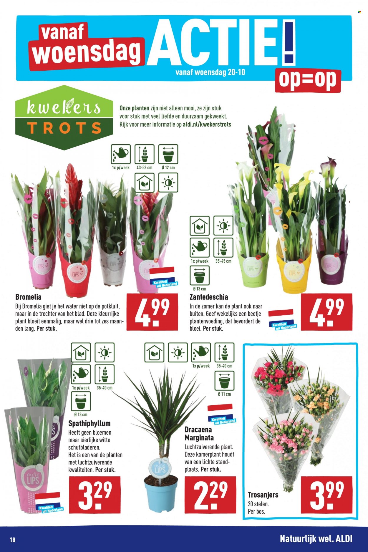 Aldi-aanbieding - 18-10-2021 - 24-10-2021. Pagina 18
