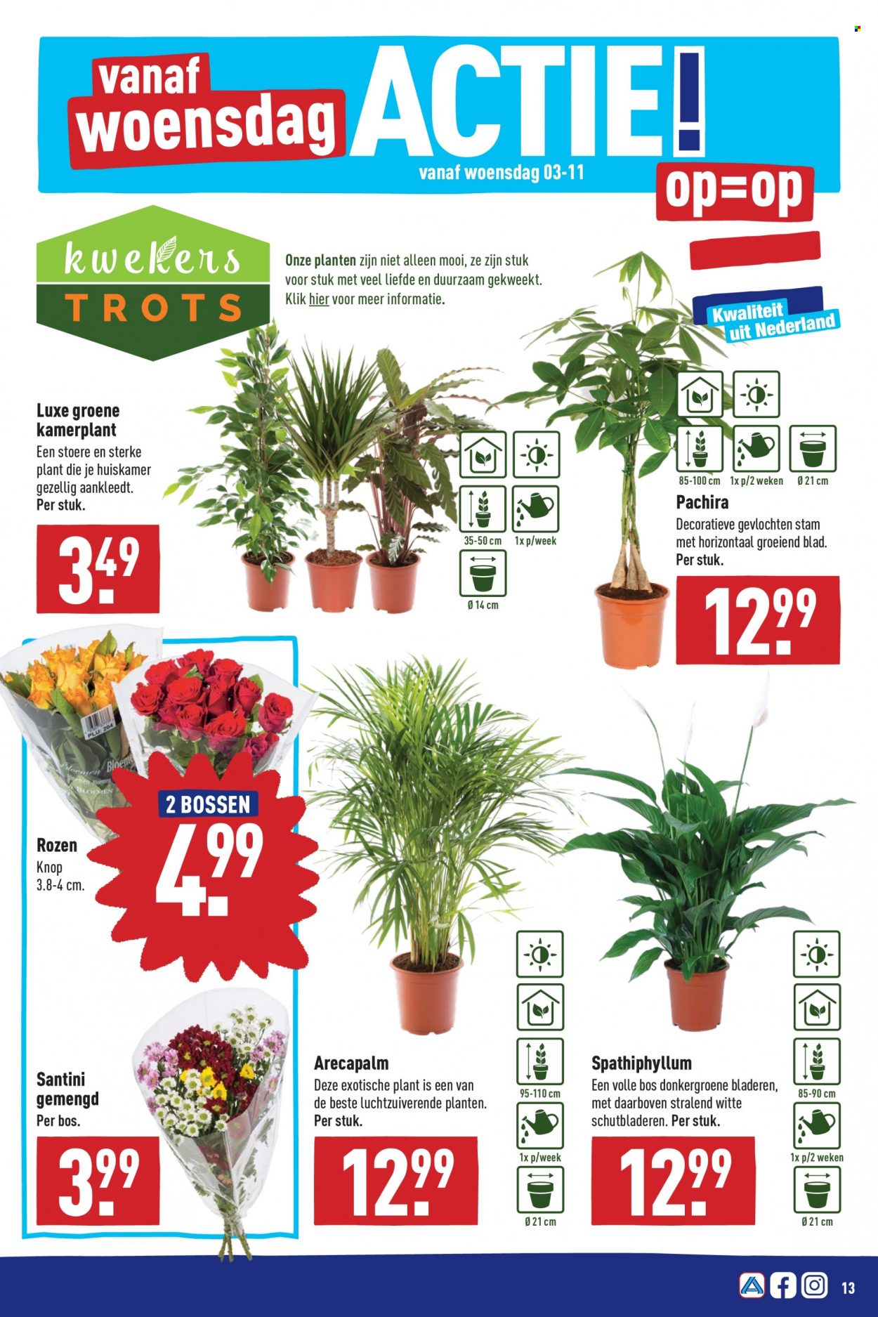 Aldi-aanbieding - 1-11-2021 - 7-11-2021. Pagina 13