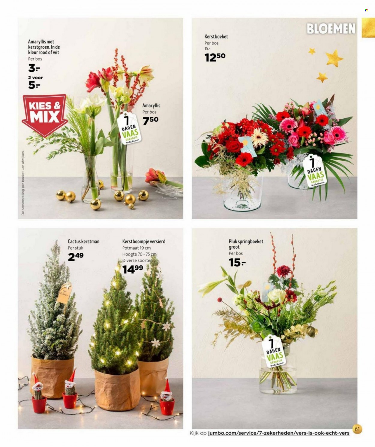 Jumbo-aanbieding. Pagina 61