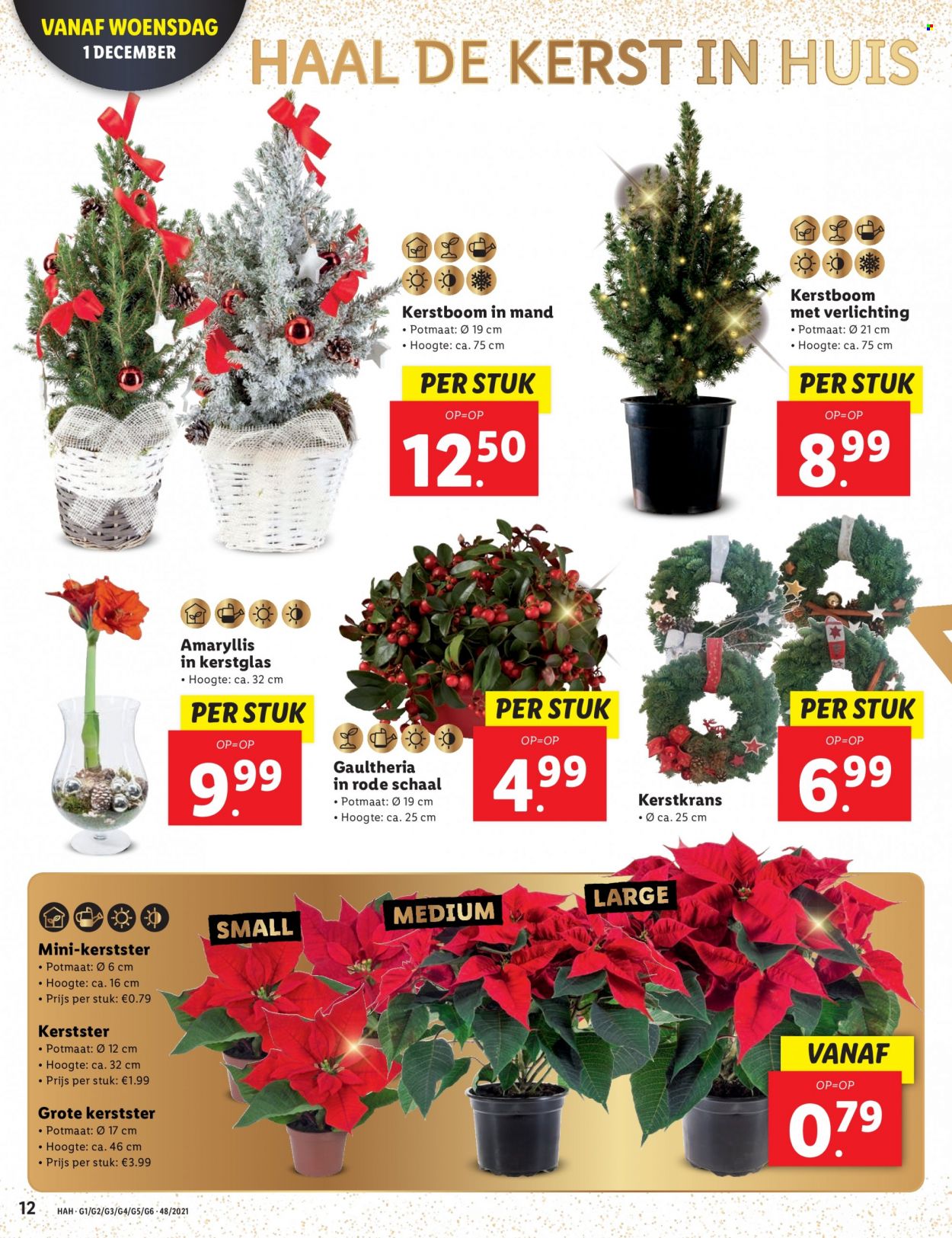 Lidl-aanbieding - 29-11-2021 - 5-12-2021. Pagina 12