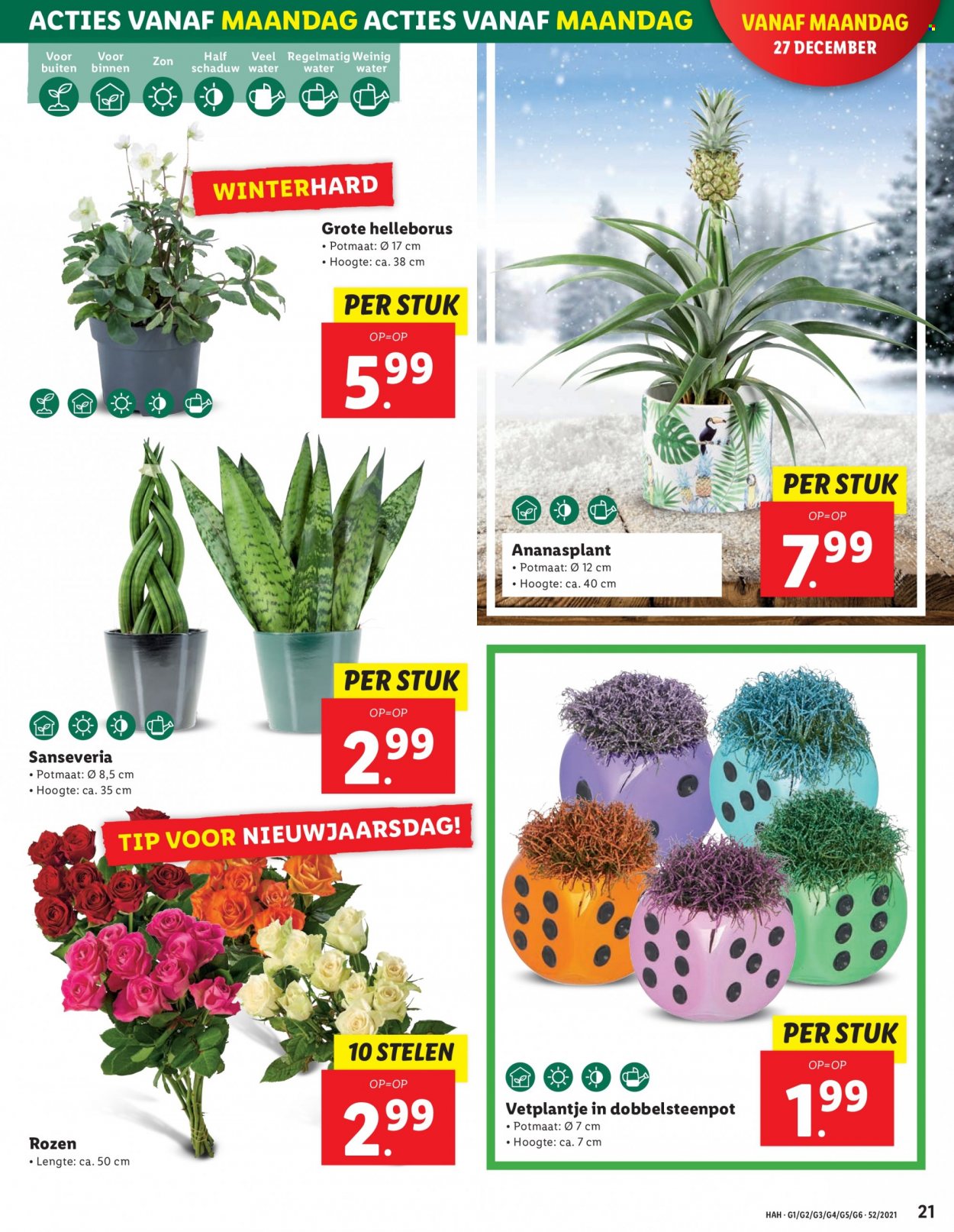 Lidl-aanbieding - 27-12-2021 - 2-1-2022. Pagina 21