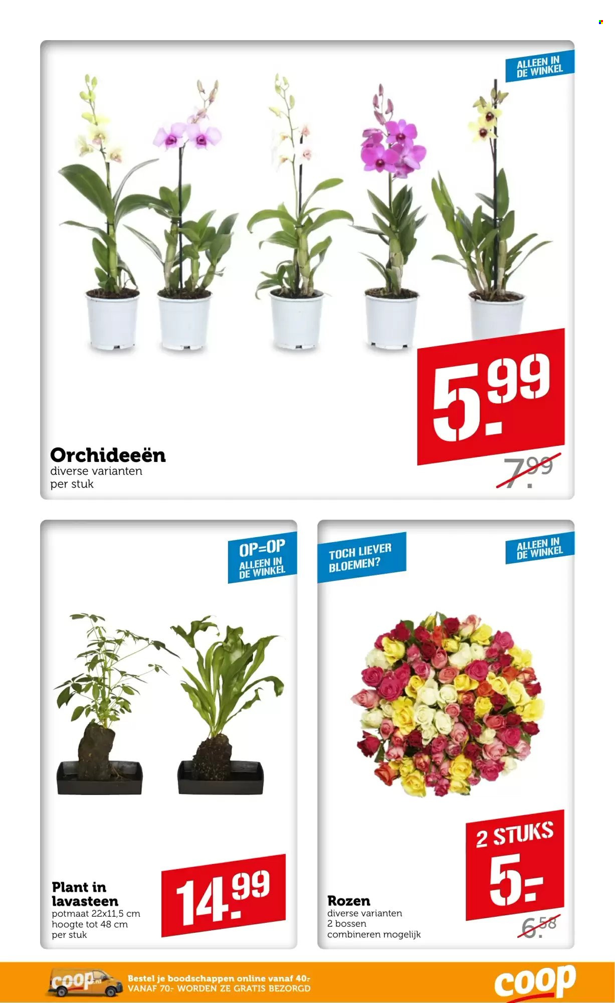 Coop-aanbieding - 3-1-2022 - 9-1-2022. Pagina 27