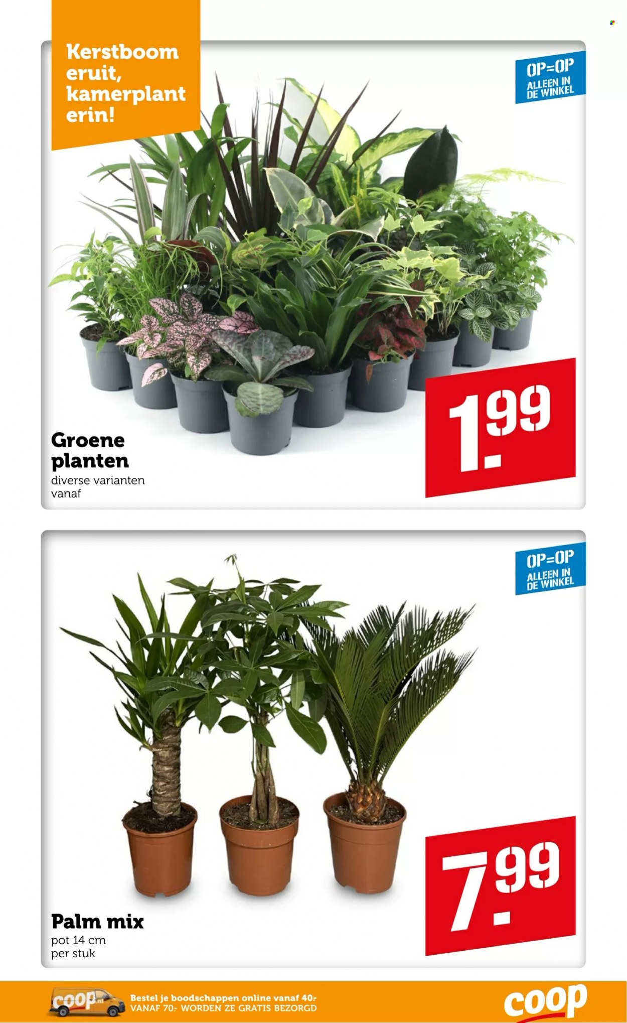 Coop-aanbieding - 3-1-2022 - 9-1-2022. Pagina 22