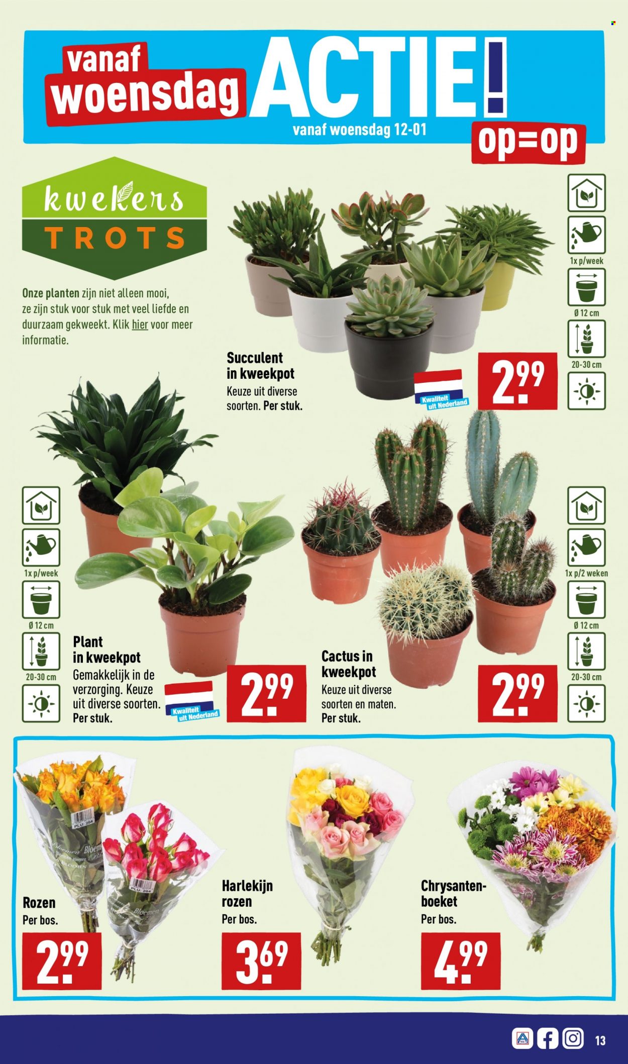 Aldi-aanbieding - 10-1-2022 - 16-1-2022. Pagina 13